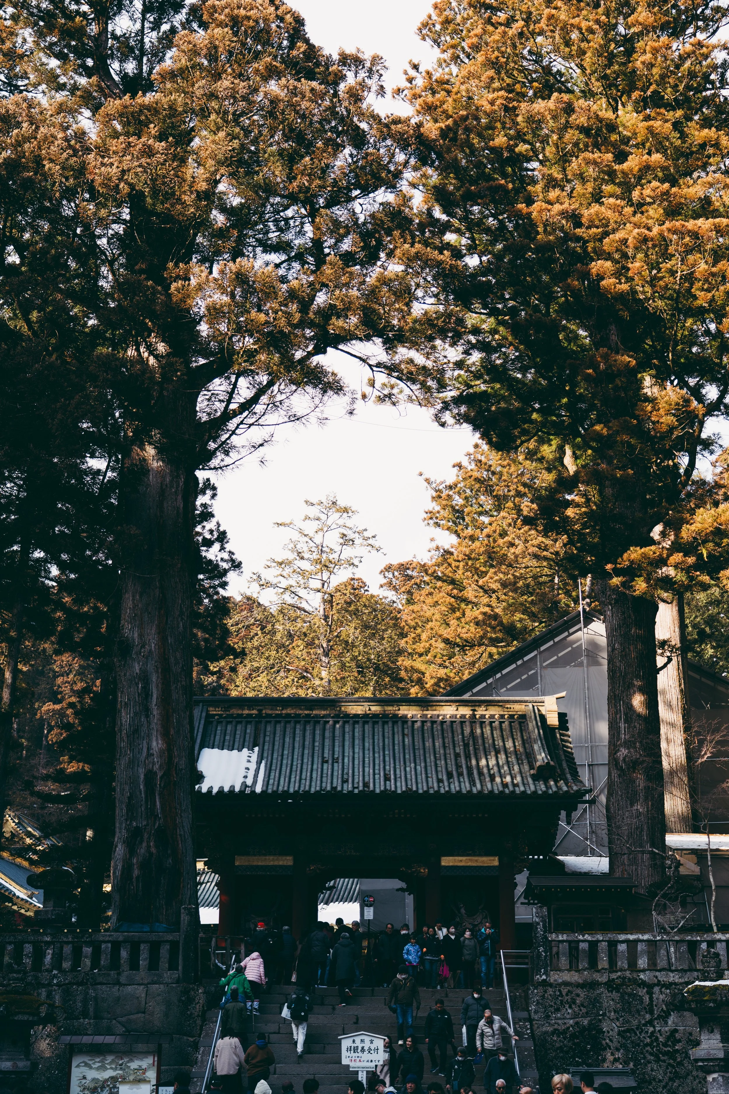 DSC01801.jpg