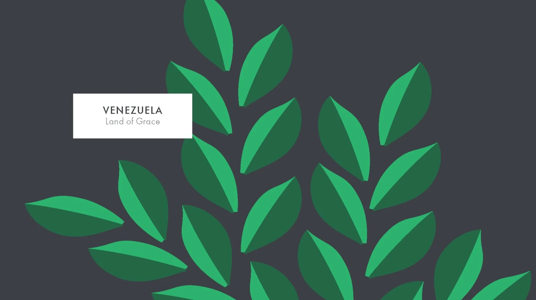 Venezuela+Envelope+%28Final%29.jpg