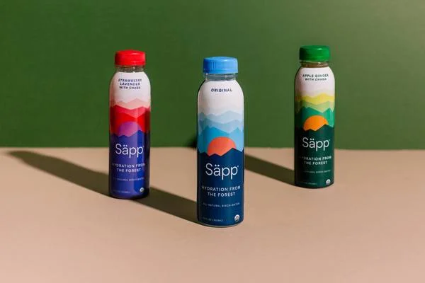 Säpp