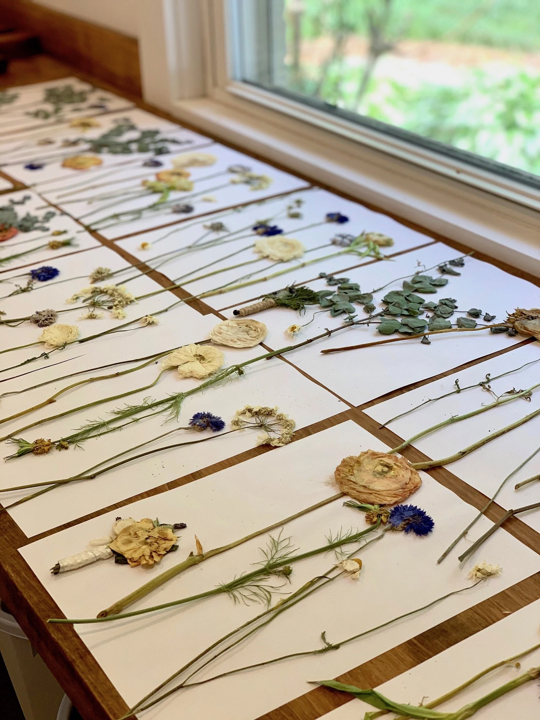Pressed Flowers with Theia
