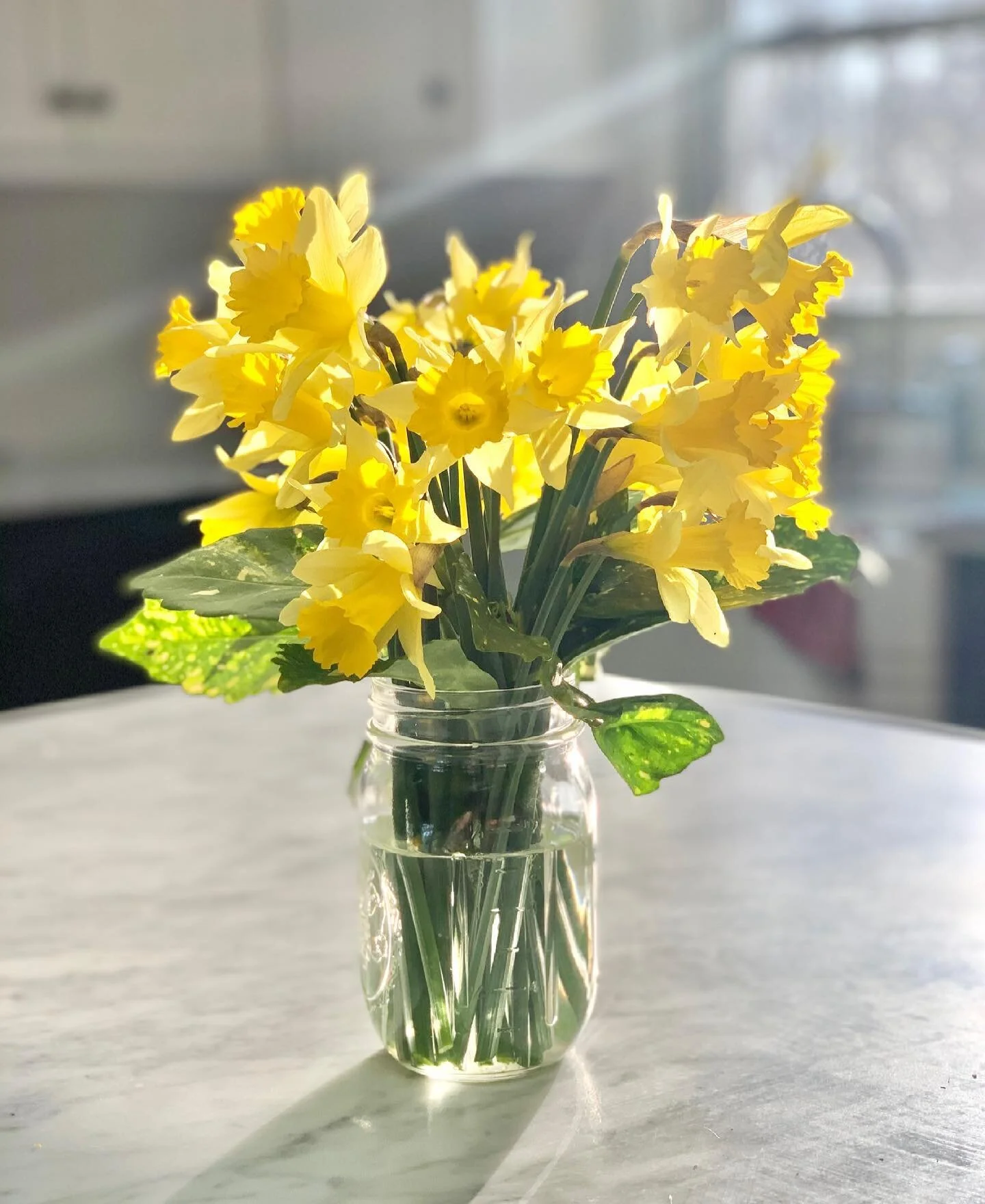 This weather and these pretties....🥰 #springiscoming