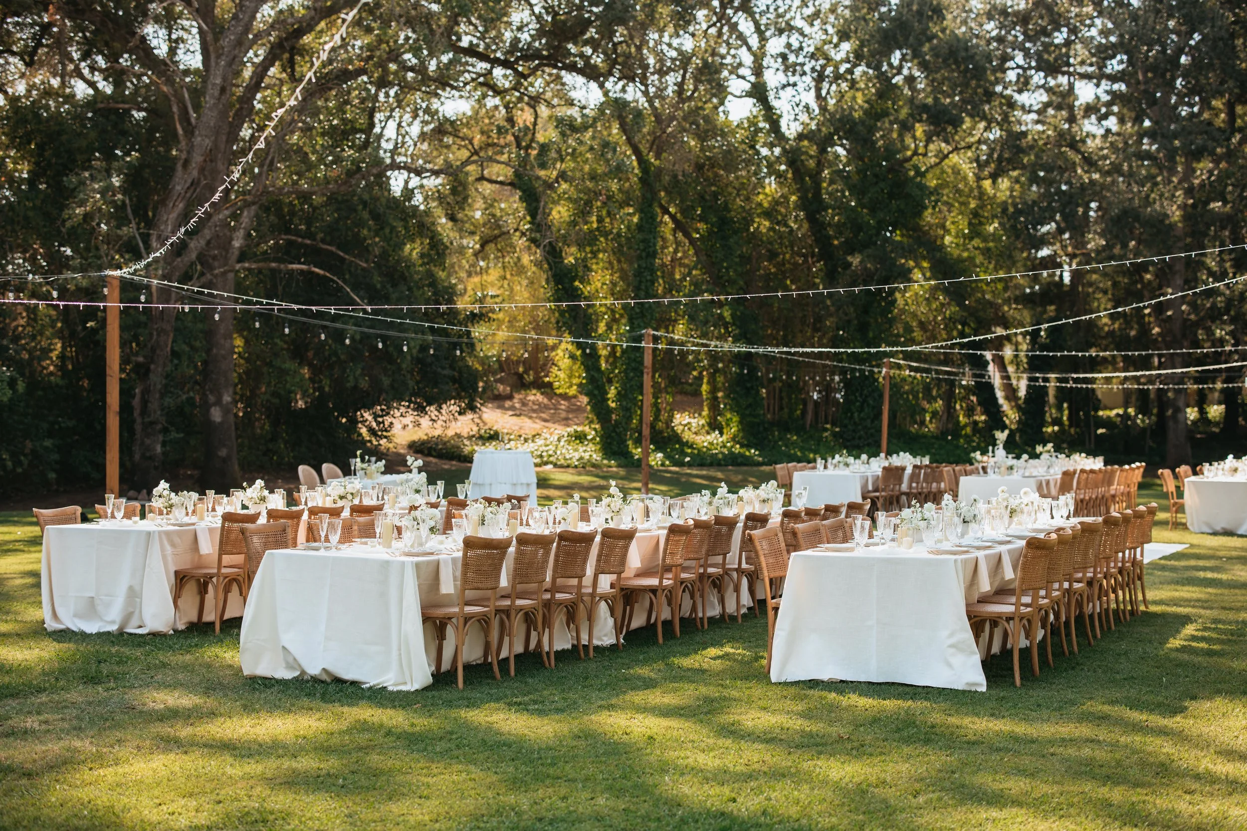 Acosta, Kasie-32.jpg