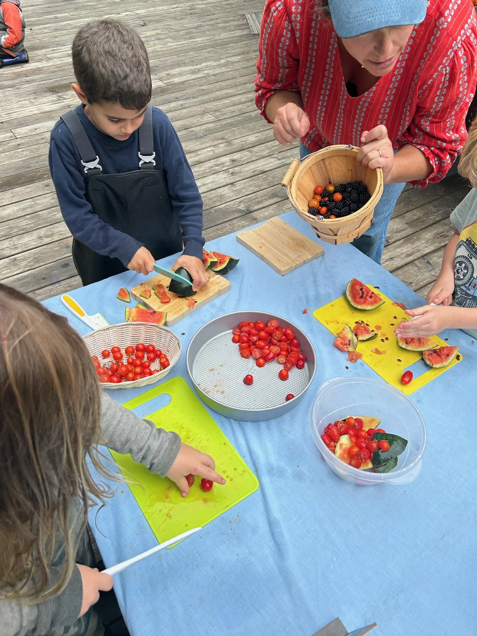 Sponsor Our Culinary Program!