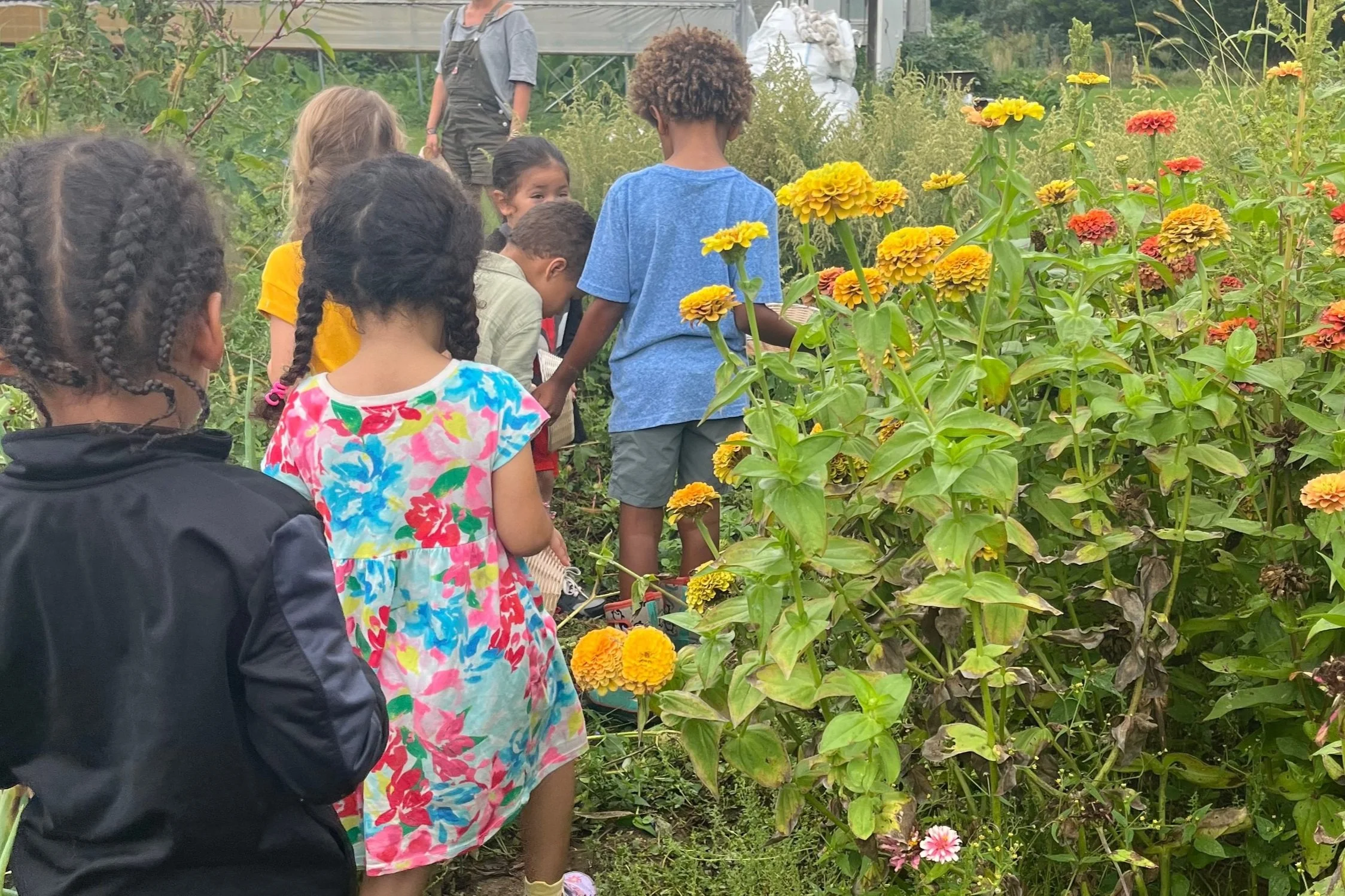 Sponsor Our Children's Garden!
