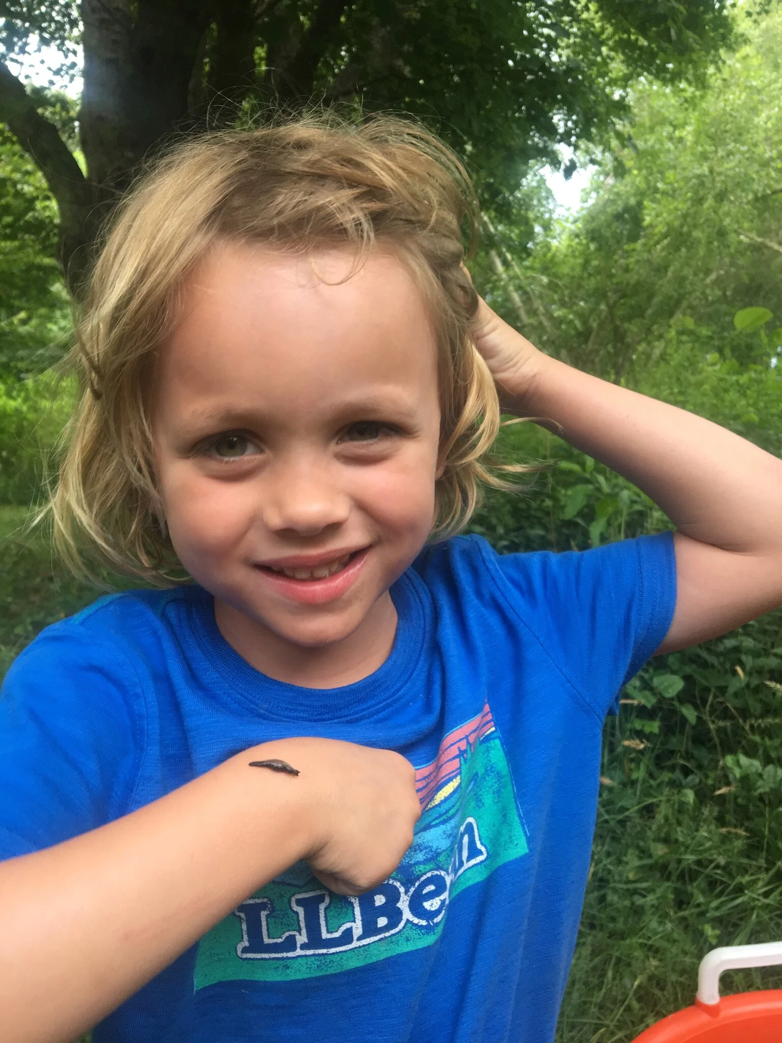 Summer 2019 Newsletter