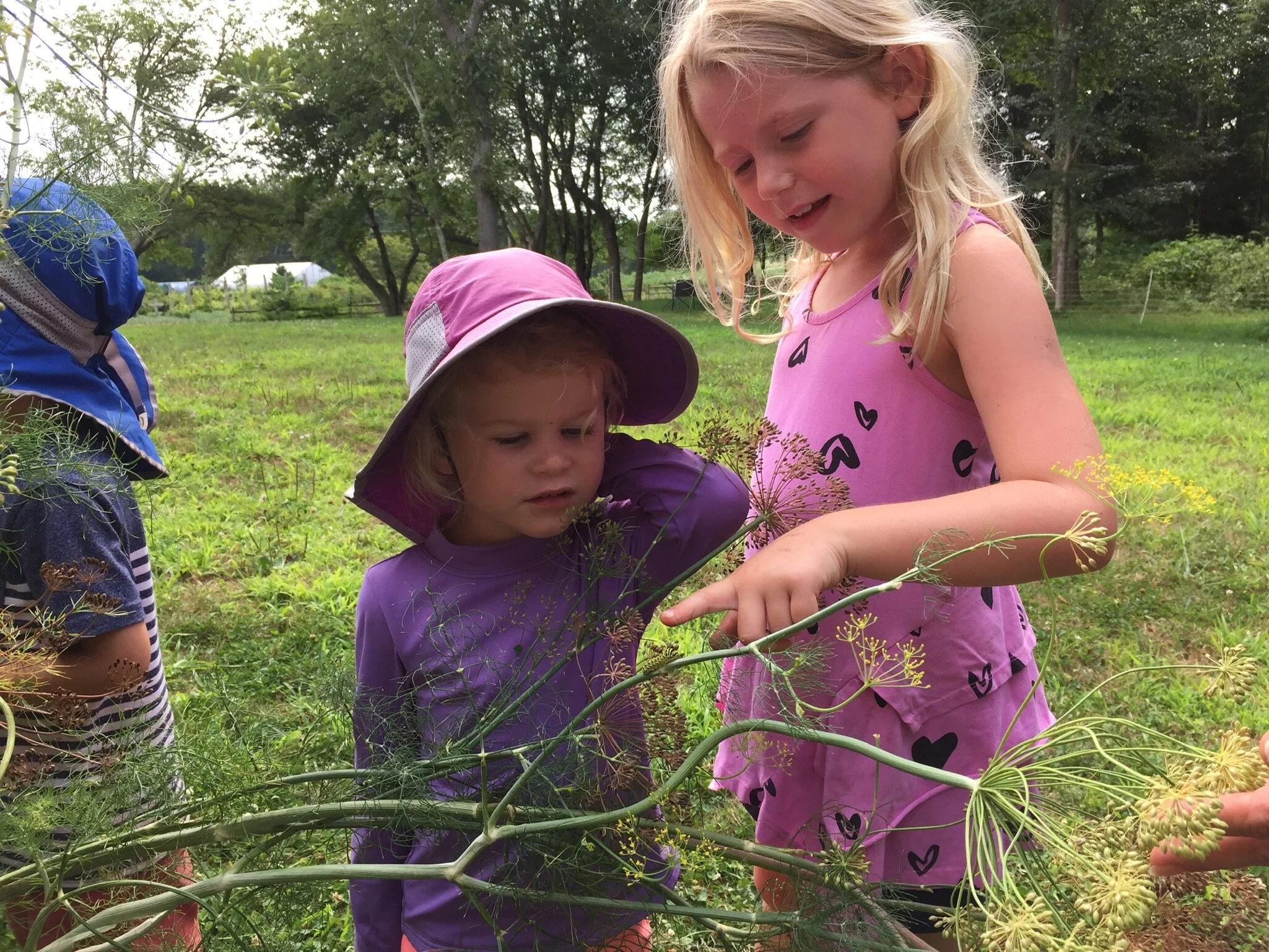 Summer 2019 Newsletter