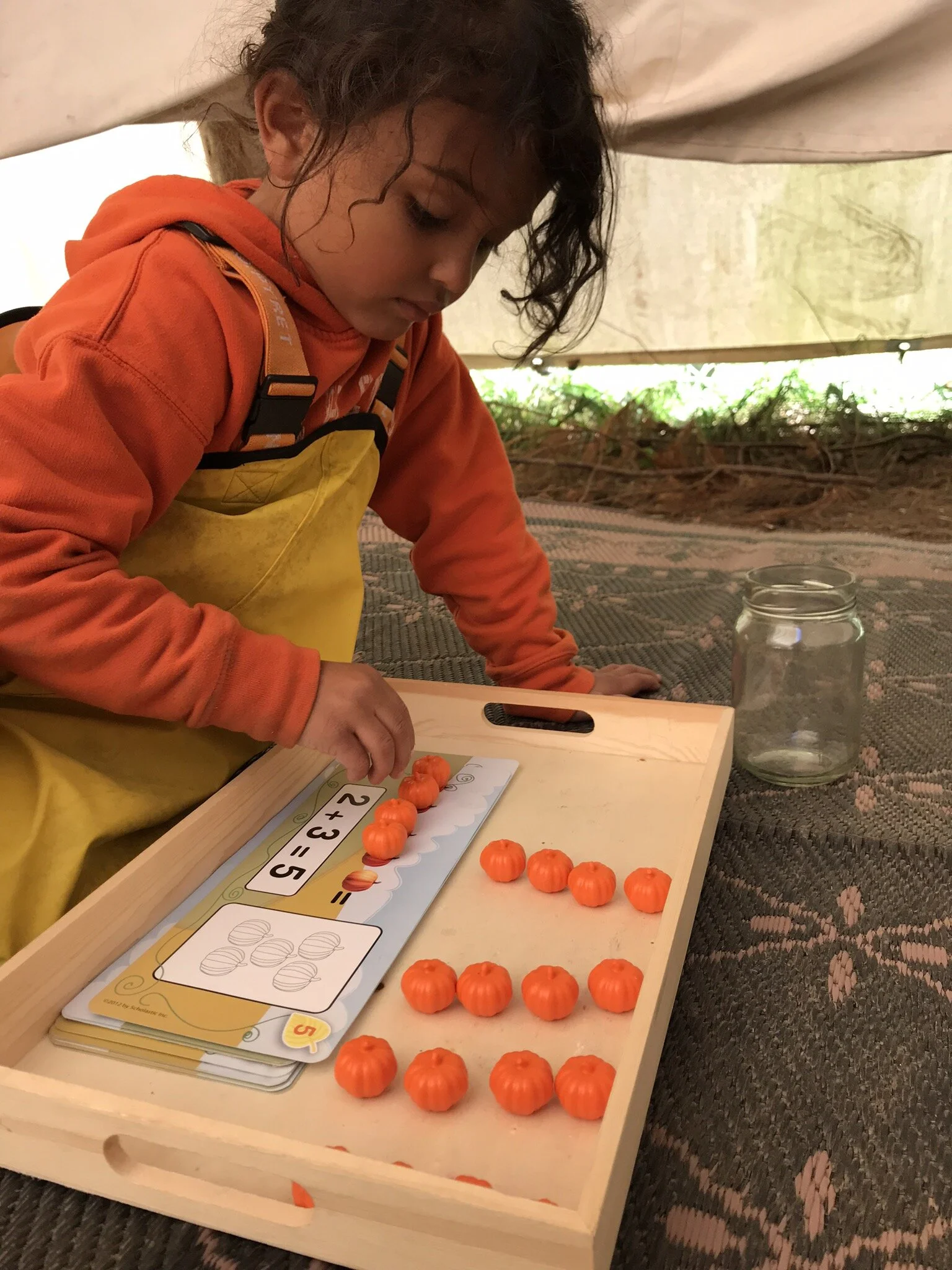 Fall 2019 Newsletter