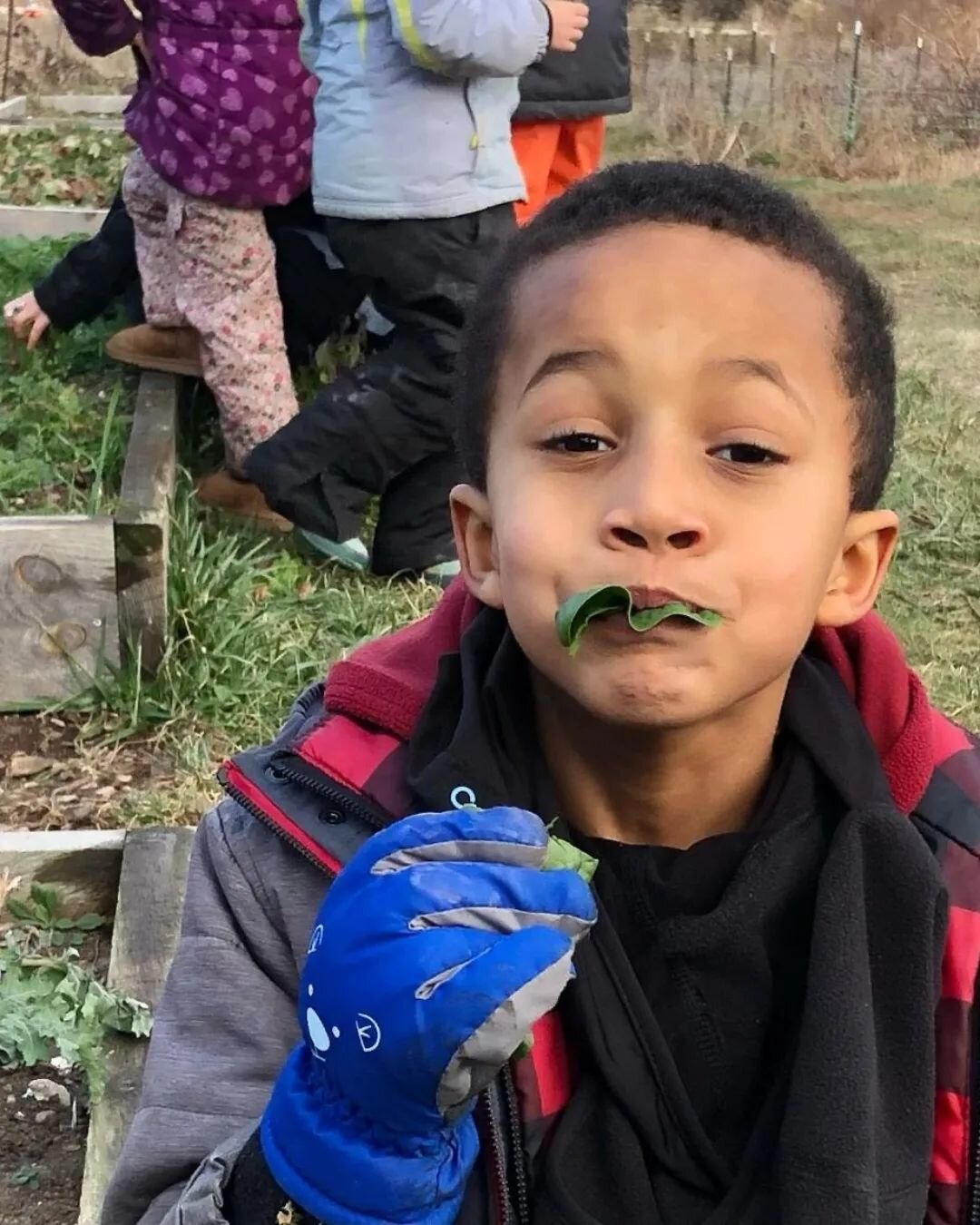 In all of Elements programs, children reap the many benefits of gardening in our small scale Children's Garden, and in the expertly grown and maintained beds at Round the Bend Farm

This Giving Tuesday, support children in your community to access th