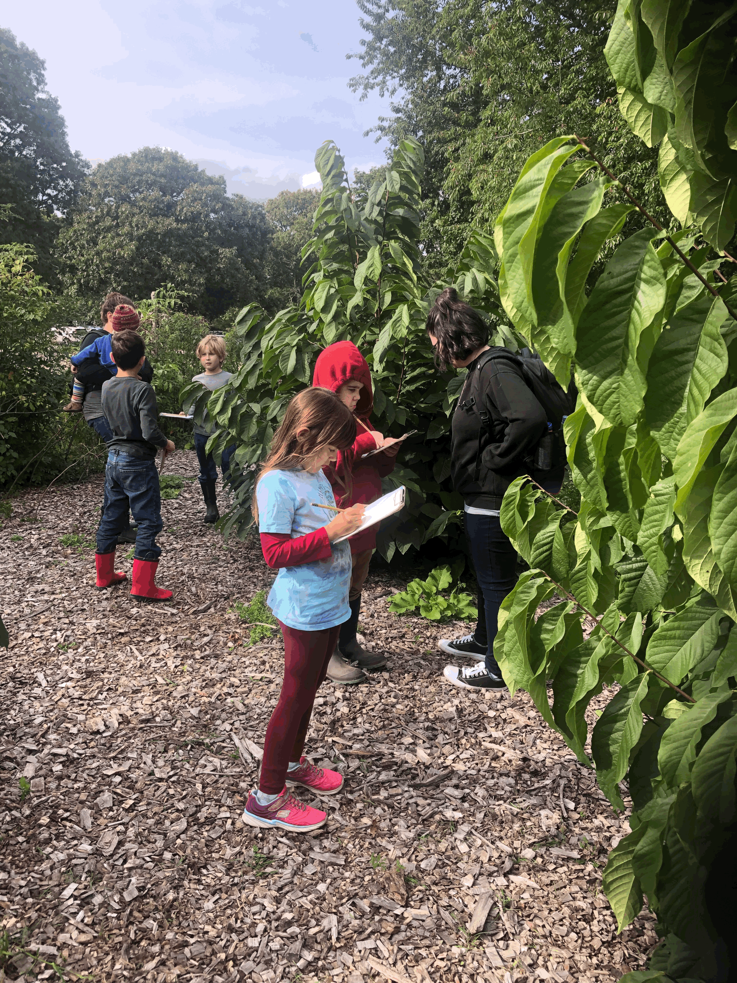 Homeschool Drop Off/Enrichment