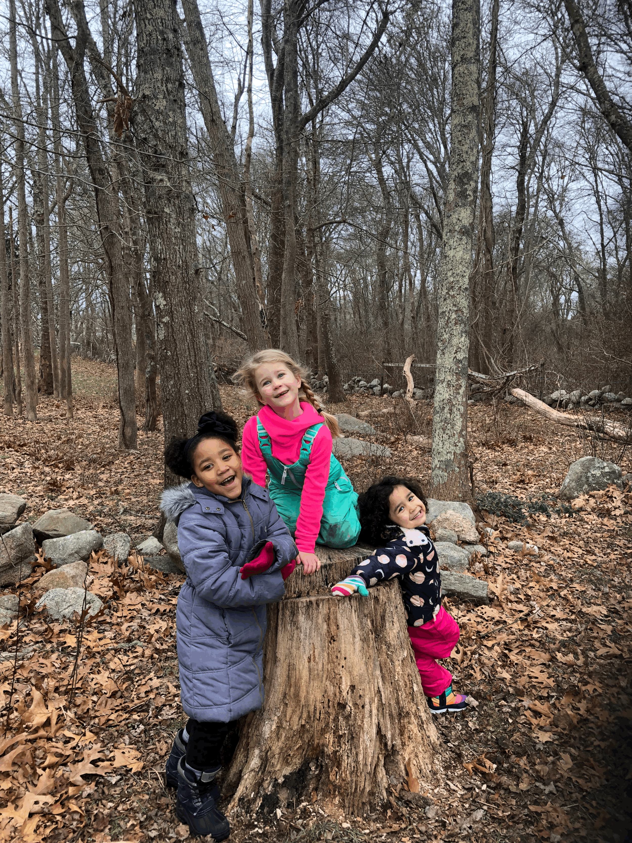 Sponsor One Year of Elements Programming!