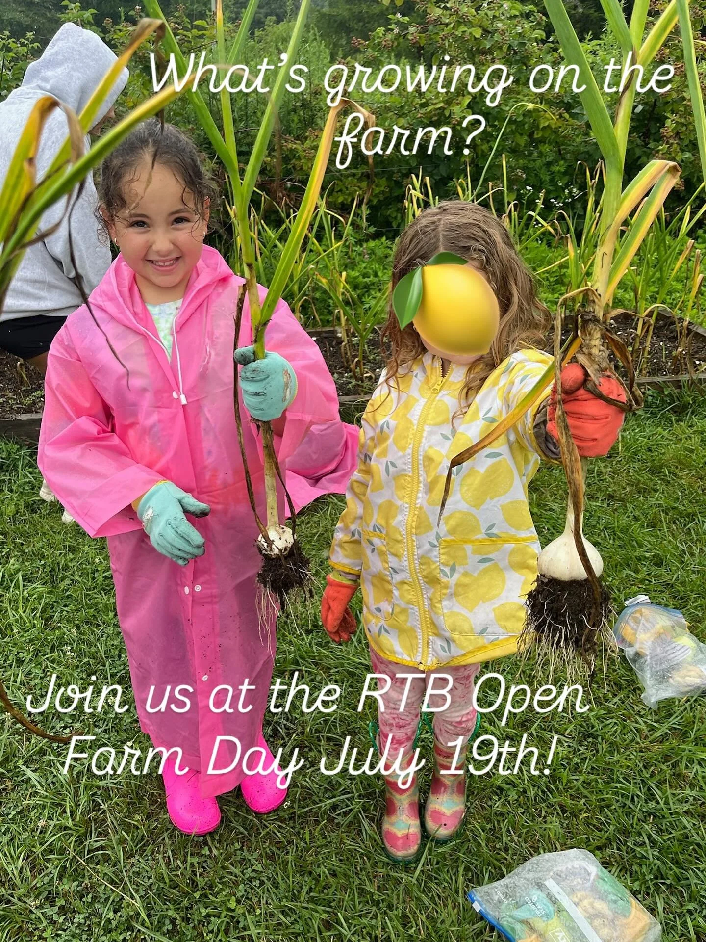 Did you know that Elements provides FREE children&rsquo;s activities and educational workshops at @rtbfarm Open Farm Days each month??!! 

Join us this month, on July 19th from 10-2 to learn about the fruits and veggies that are growing on the farm. 