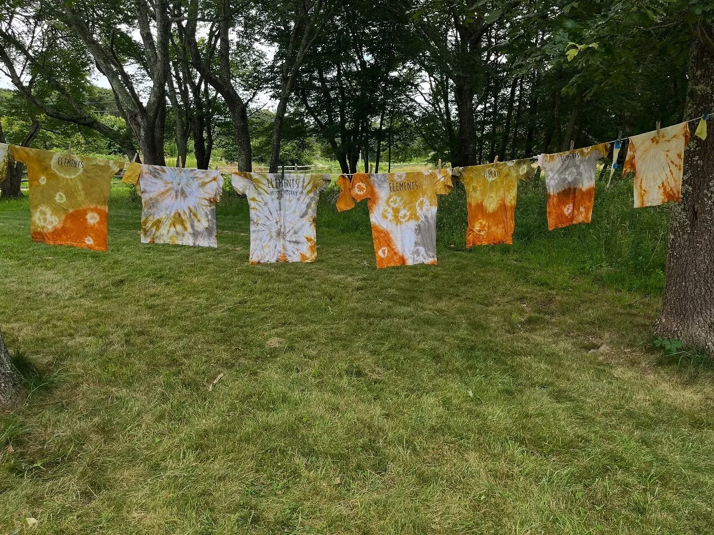 Day 3 of Summer Elements Natural Dye Camp lead by Korie of @fallingofftrees .  Korie guided the campers through plant identification and foraging techniques as well as fabric dying methods. This art form and Korie&rsquo;s process is one that aligns s