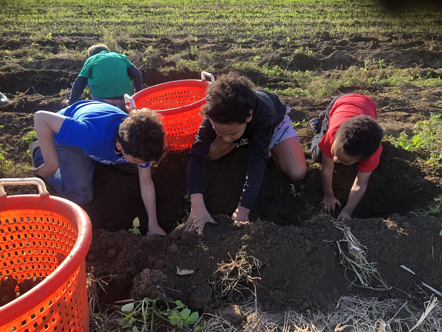 Family Day — Elements Learning Collaborative