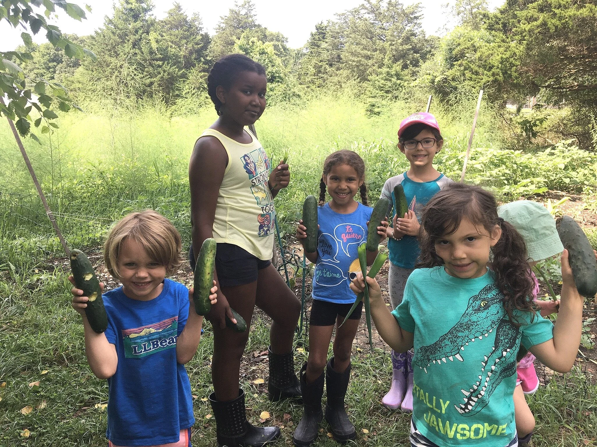 Our Mission — Elements Learning Collaborative