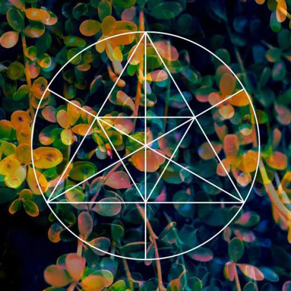 Mysteries of the Deep — Dimensions