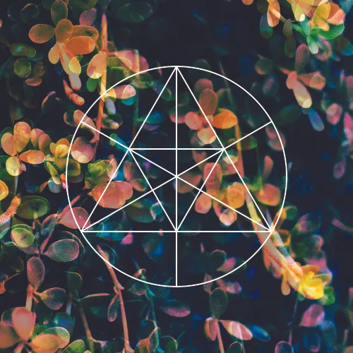 Mysteries Podcast: Nathaniel Young - Live at Mysteries of the Deep - Dimensions