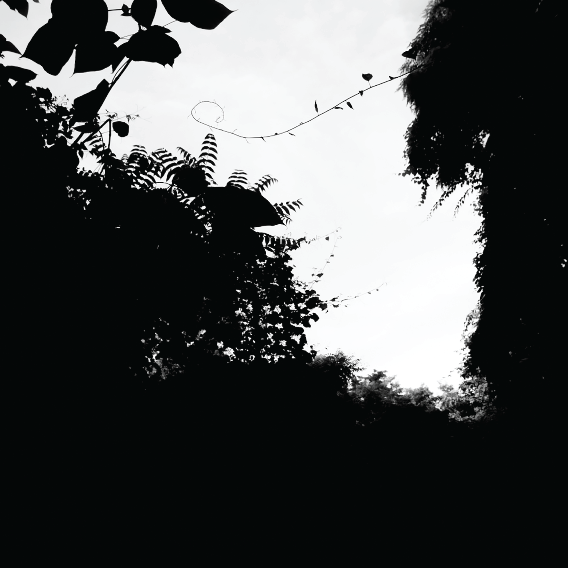 MOTDLP006.png
