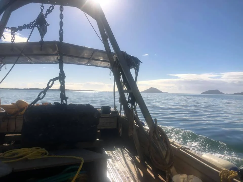 our office port stephens