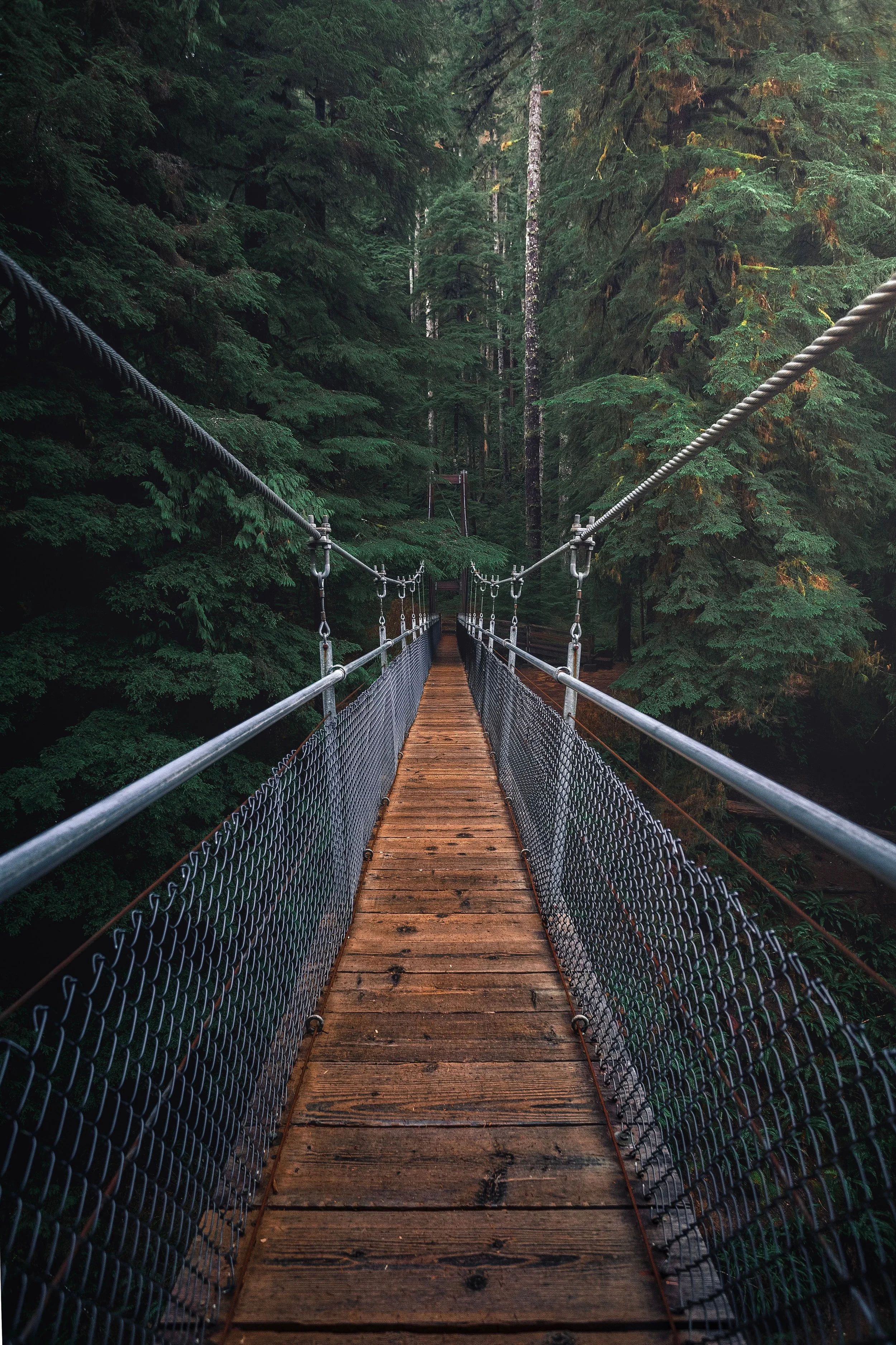 bridge-cables-daylight-1761279.jpg