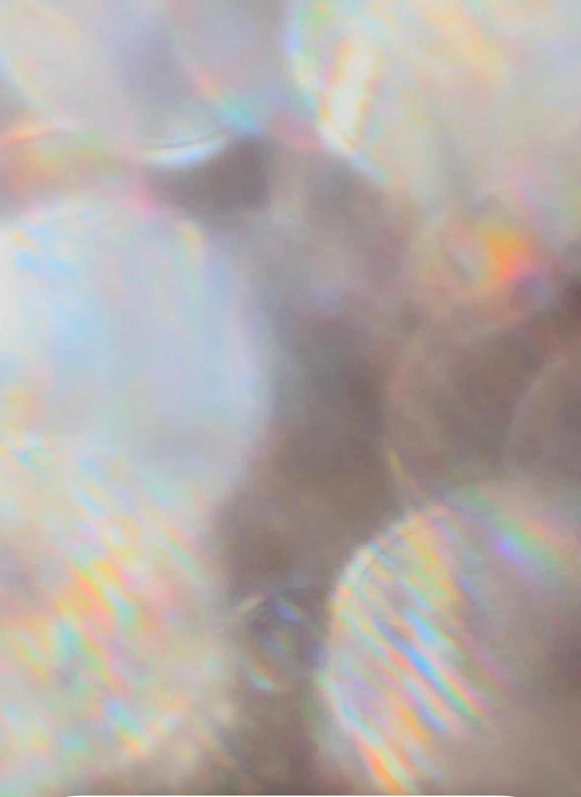 Transmission Field and Community Embodiment with Rebecca Carner and Roxanne Lowery   