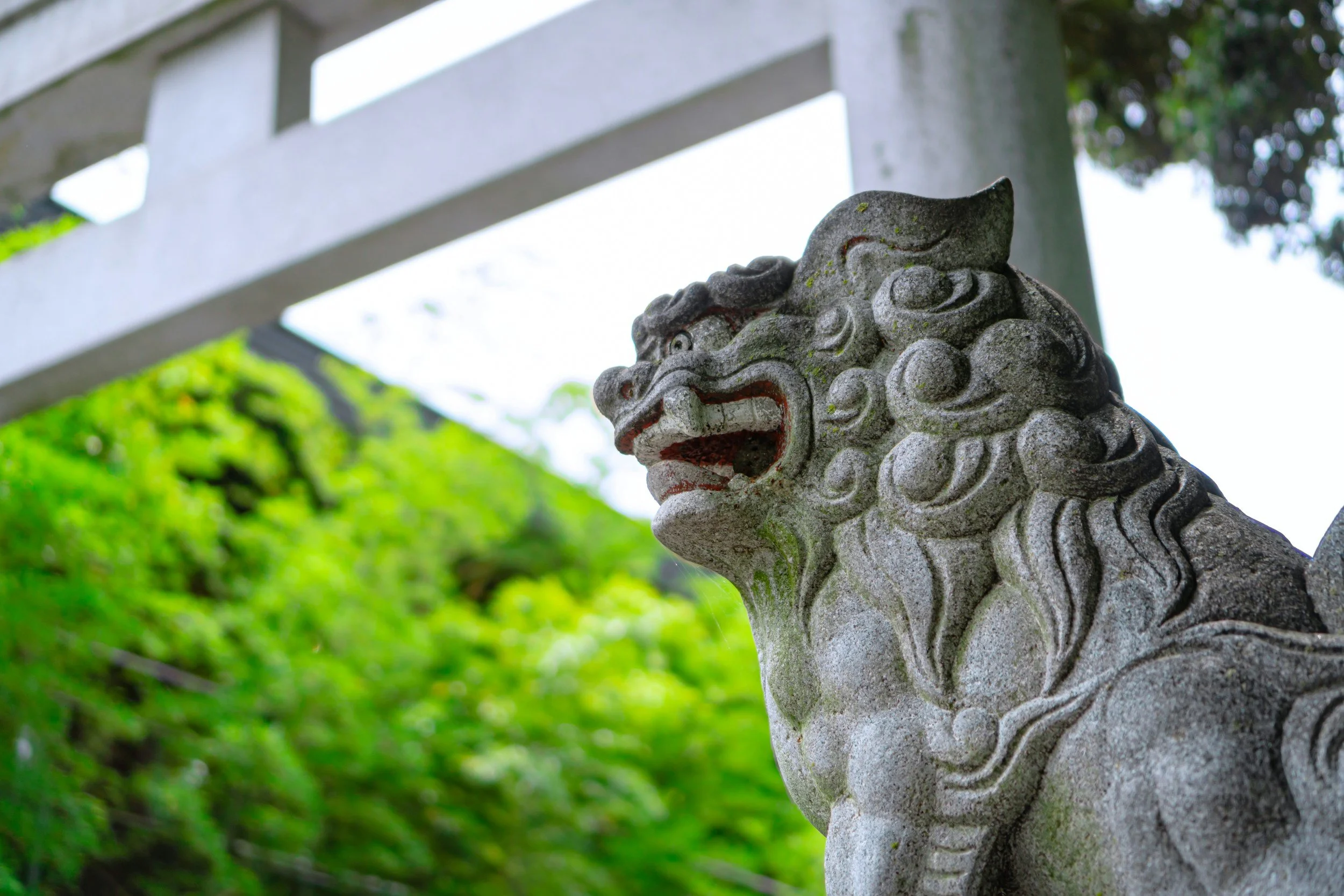 8:8 : Lion's Gate : a collaboration with Rebecca Carner and Roxanne Lowery