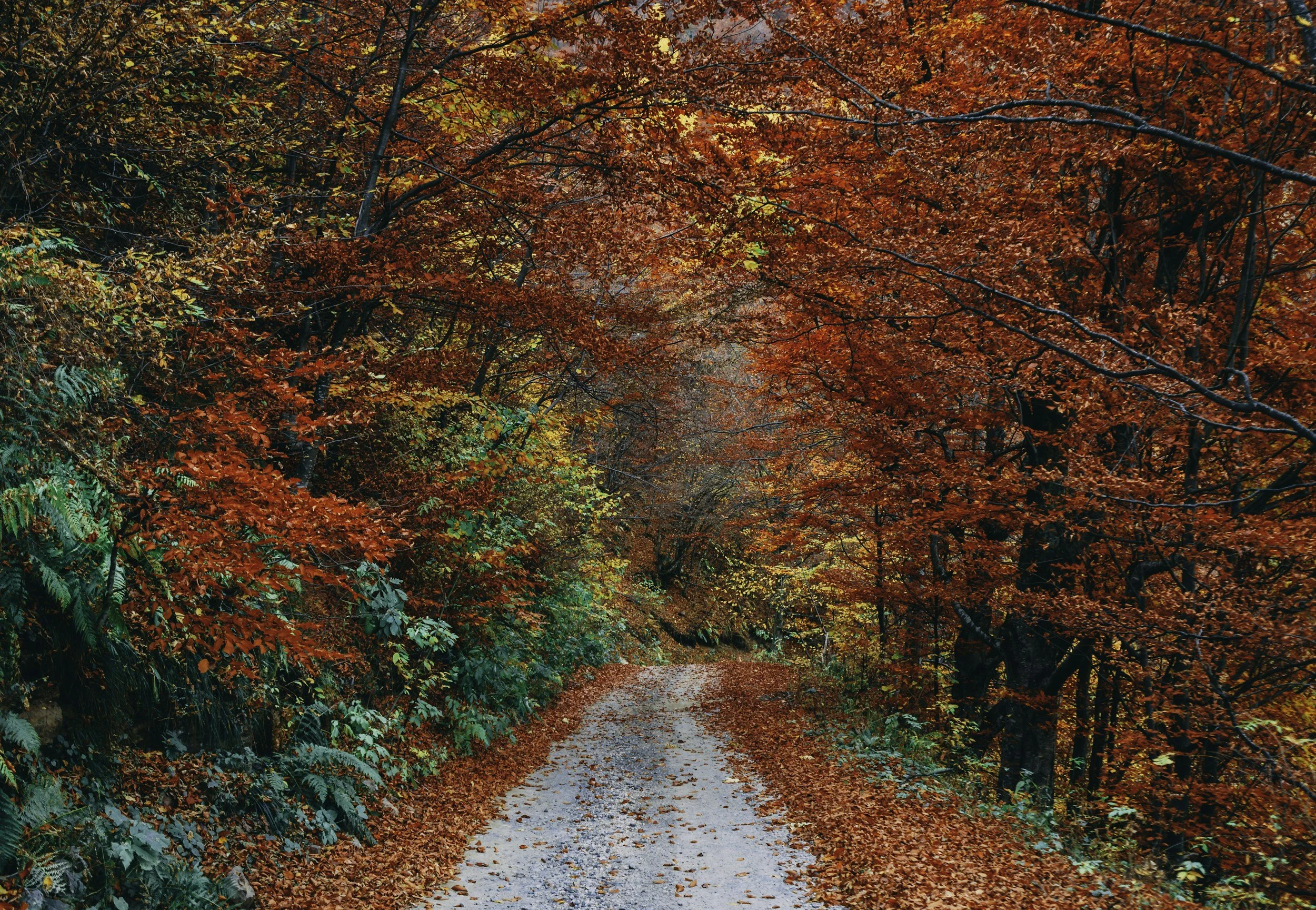 fall equinox sound : evening