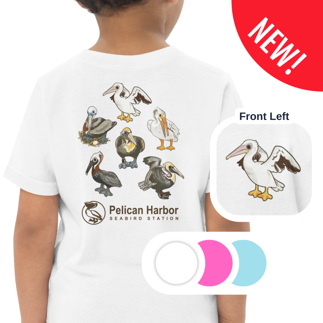 Toddler Pelican.png