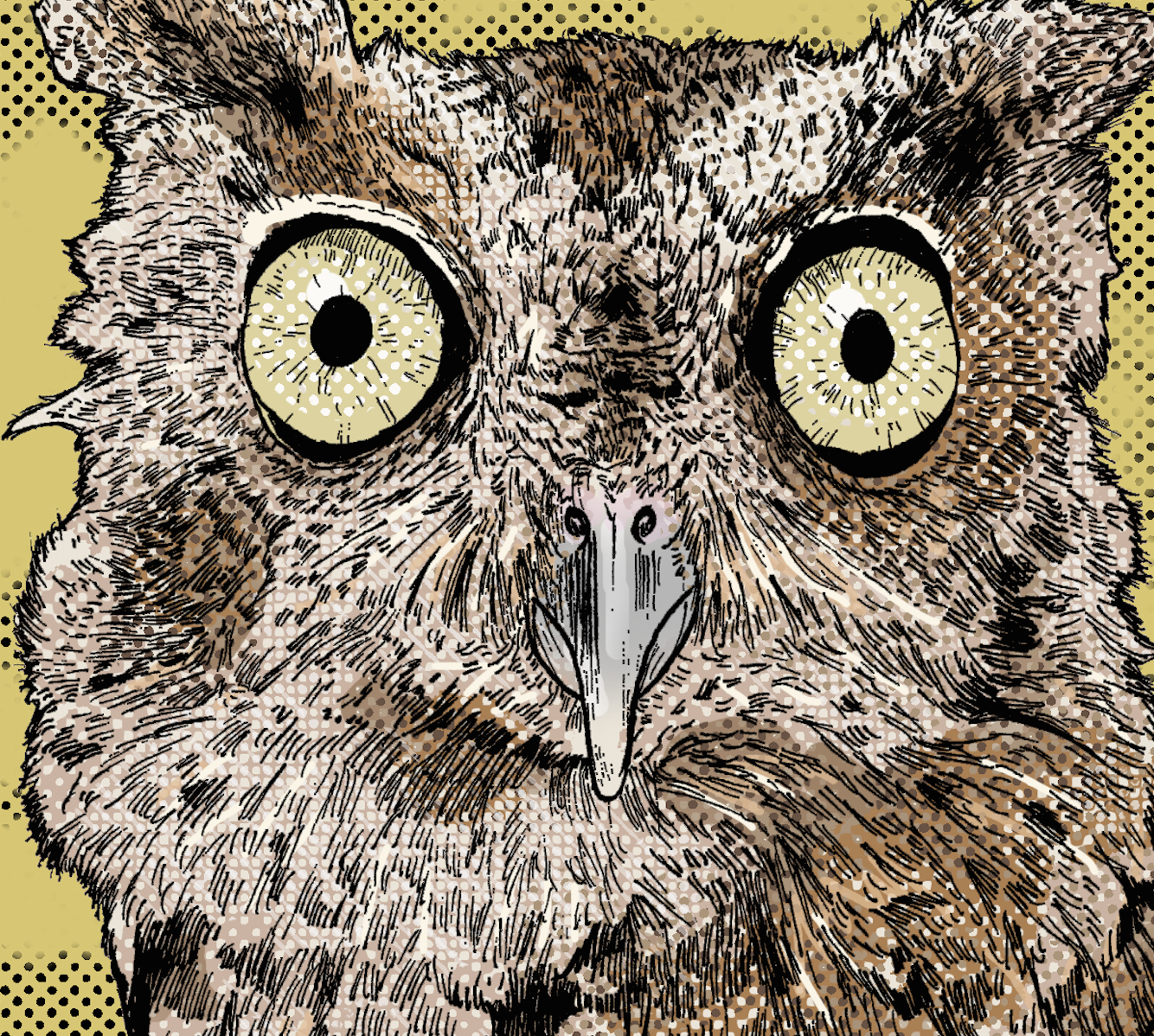 Screenshot 2024-12-14 at 11.13.57 AM.png