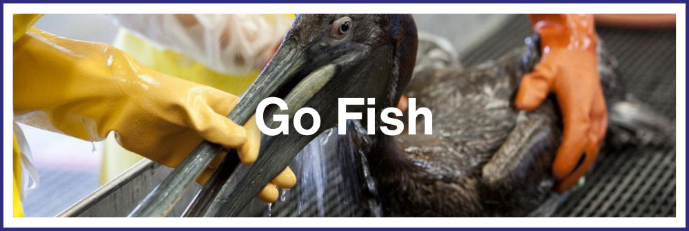 Go Fish