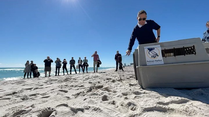 Thank you so much for all who joined us for this magical Brown Pelican Release today in Miami Beach! A special thank you to commissioners @marksamuelian and commissioneralexfernandez for joining us and to the Miami Beach Sustainability department for