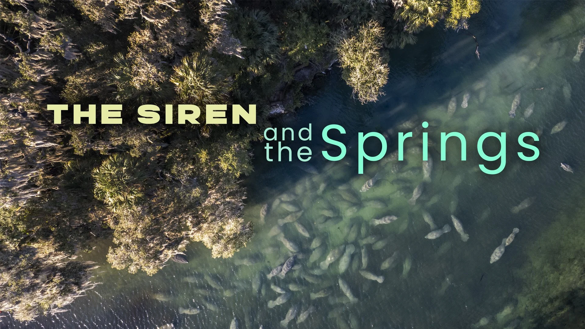 "The Siren and the Springs" Florida's Natural Springs with Richard Kern