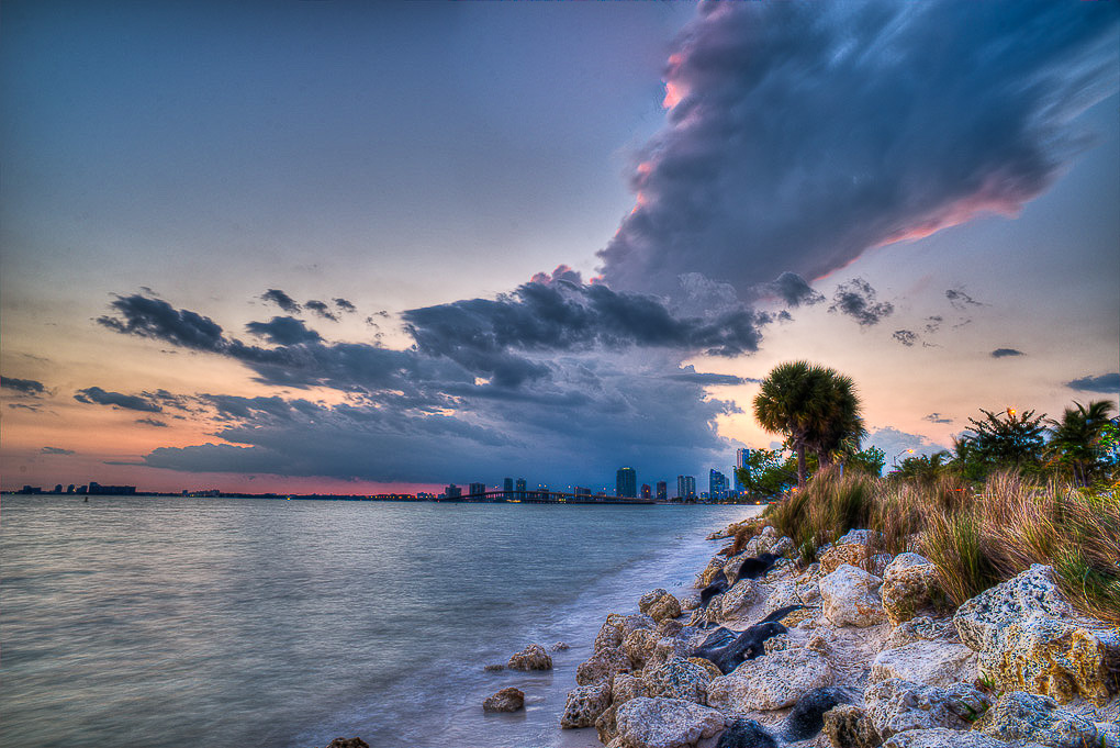 Marine Preservation: The Fight for Florida's Waters