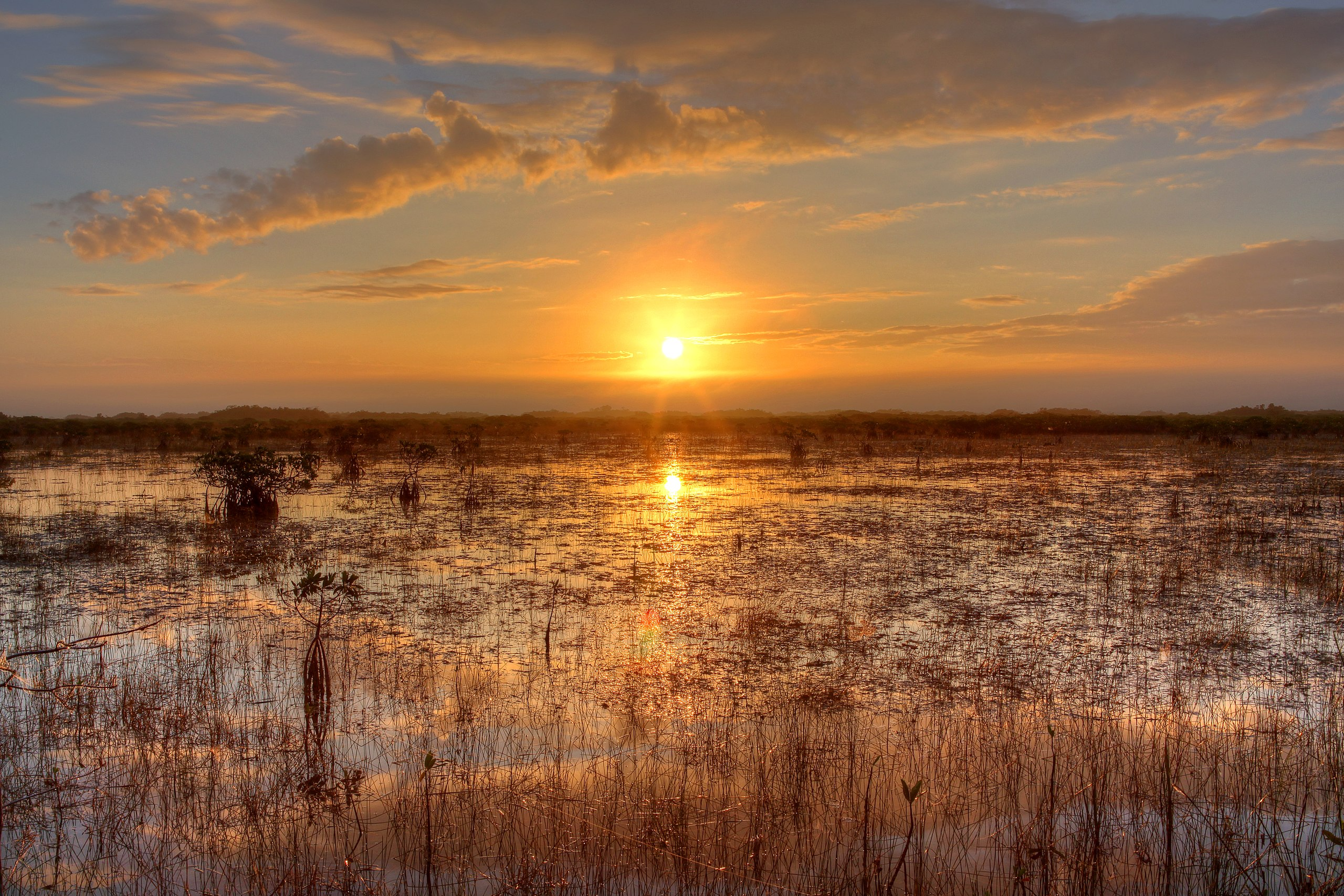 Everglades Restoration 101 with Begoñe Cazalis