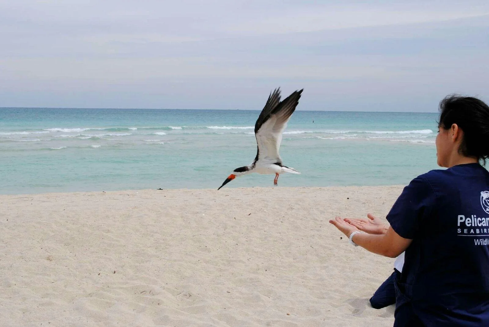 Avian Basics: Birds 101 with Yaritza Acosta