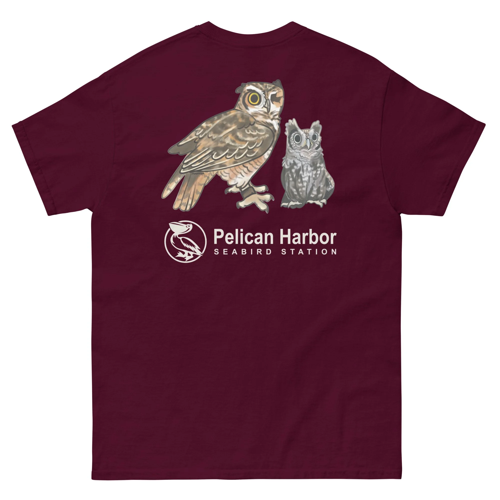 unisex-classic-tee-maroon-back-692783b4d544d.jpg