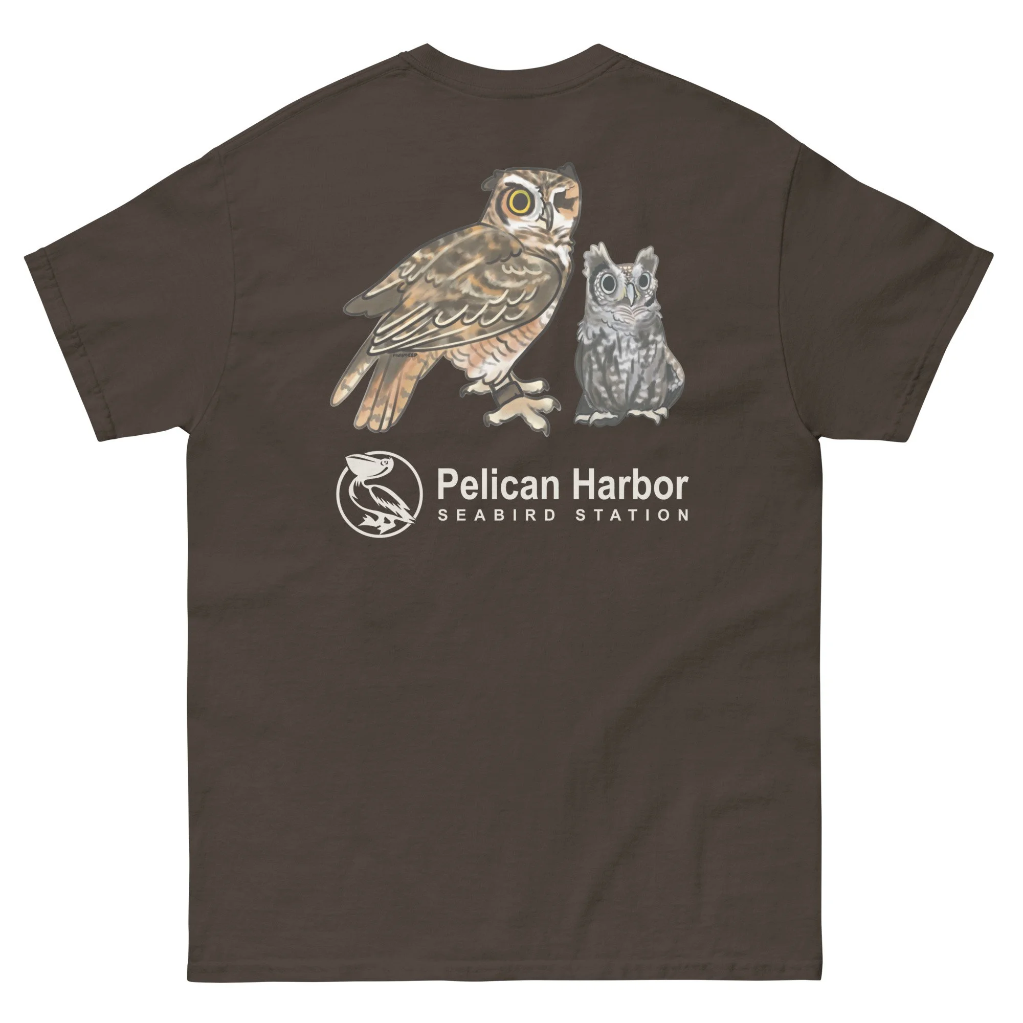 unisex-classic-tee-dark-chocolate-back-692783b4ebc52.jpg