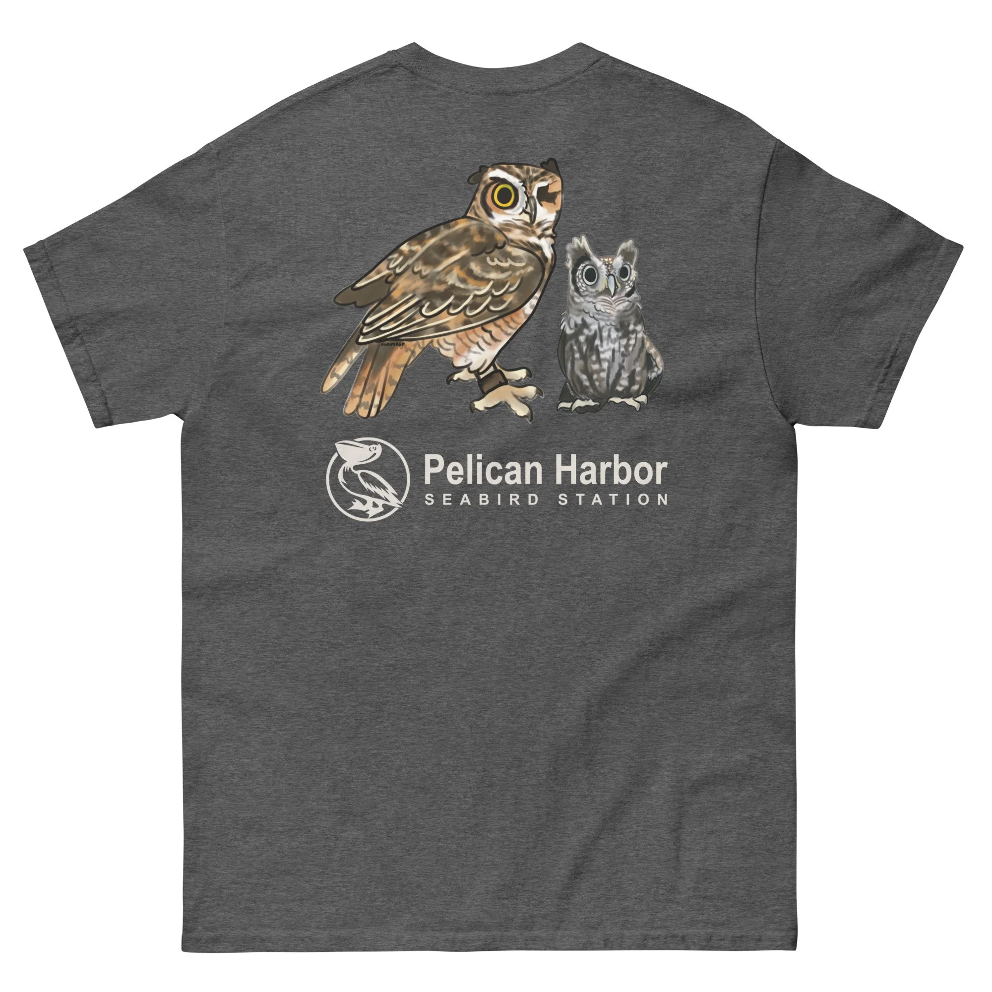unisex-classic-tee-dark-heather-back-692783b504b6c.jpg