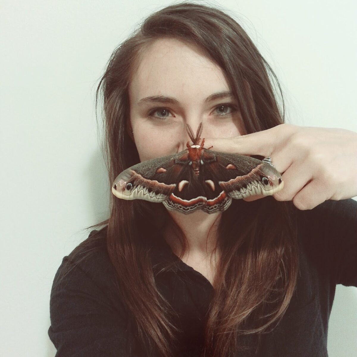 From Bunkers to Butterflies – Zoo Miami’s Role in Butterfly Conservation (with Tiffany Moore)