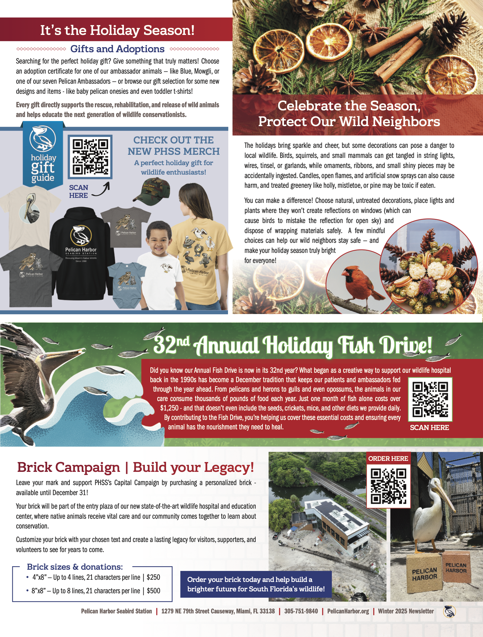 Vertical Page 2 D3-PHSS_Pelican Talk_Winter 2025.png