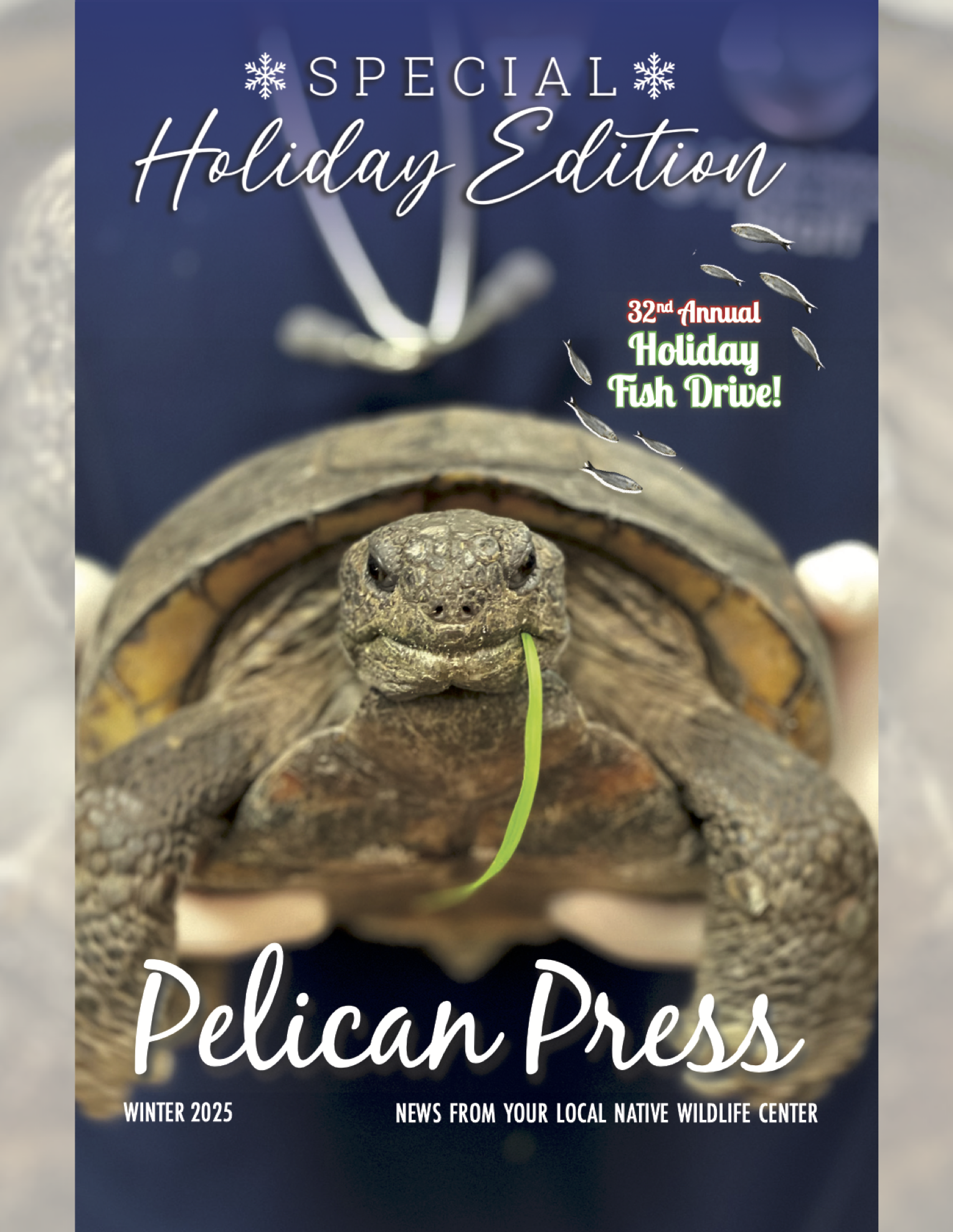 Winter 2025 Newsletter Cover.png