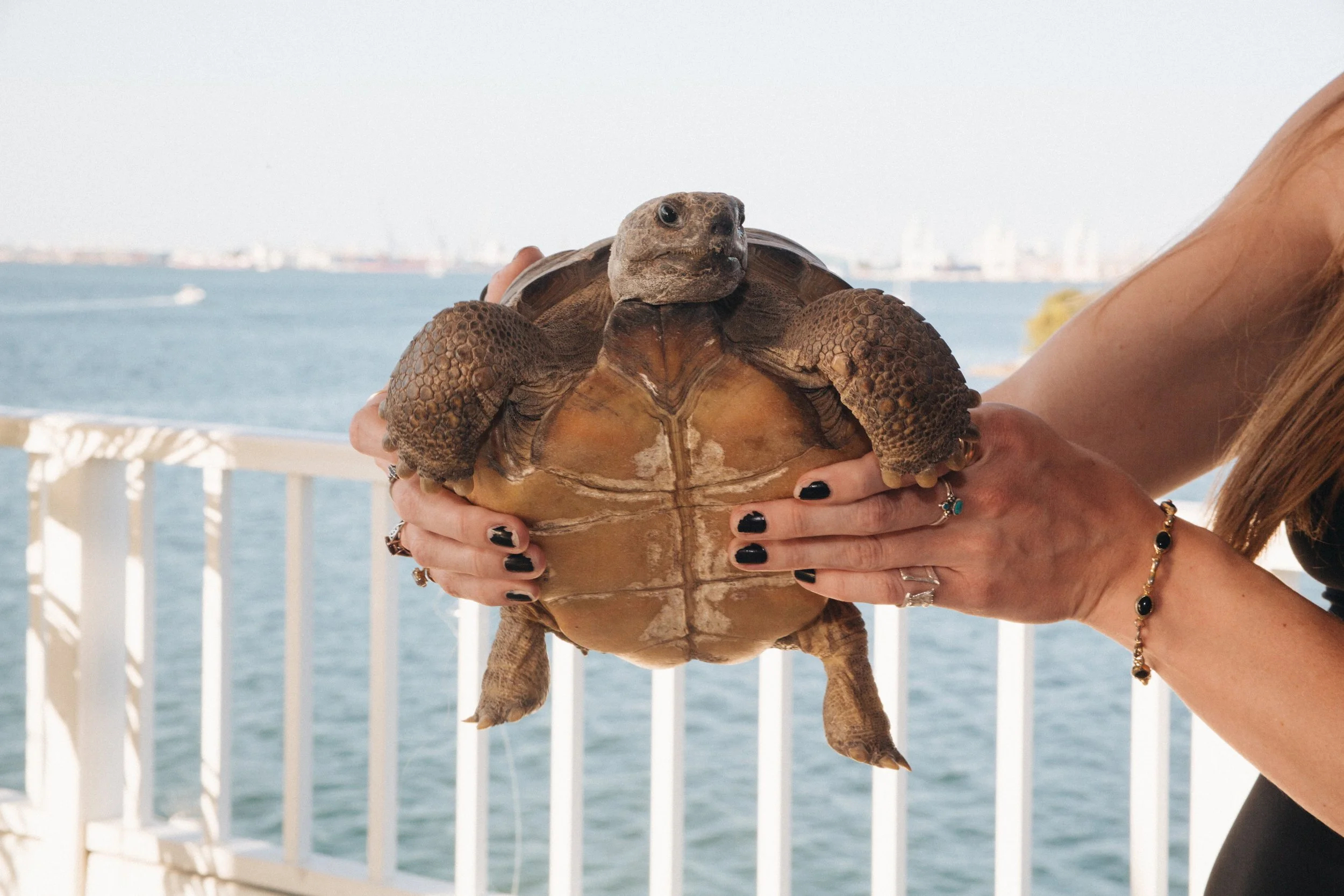 Pelican Party 2025_GOTO_BestyB_Ambassador_Natalia_Molina(1).jpg