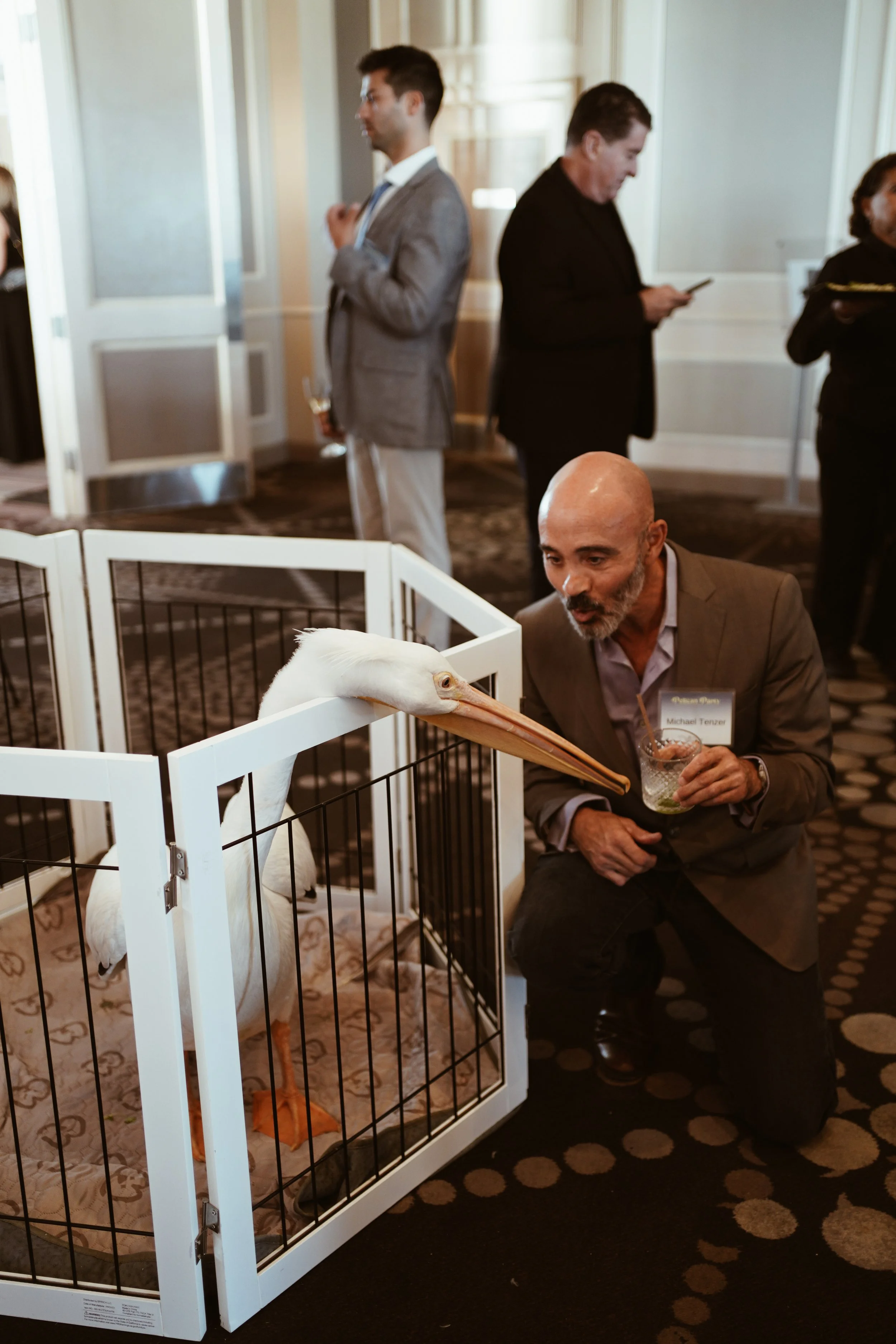 Pelican Party 2025_Natalia_Molina(7).jpg