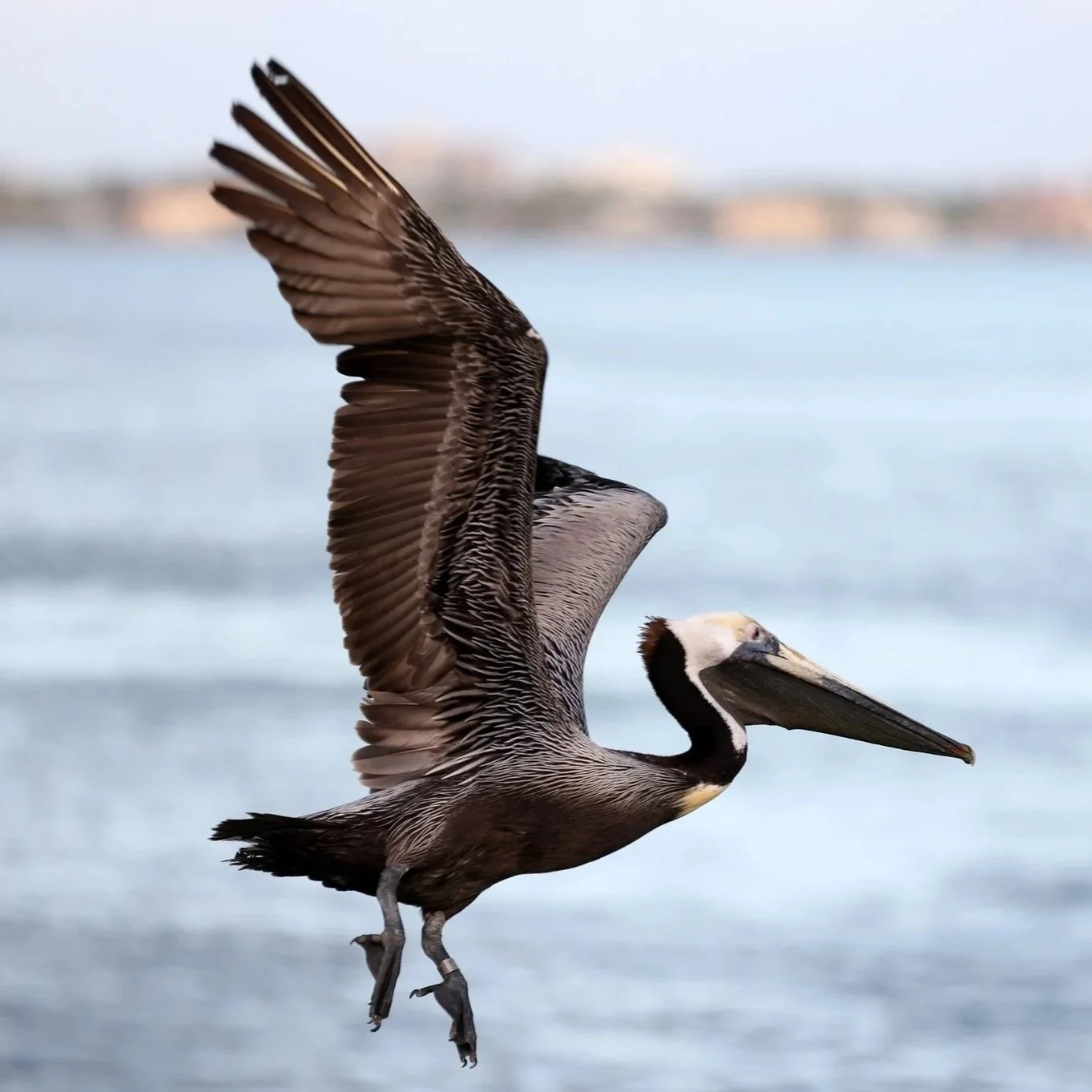 May 9th Mother's Day Sunset Cruise