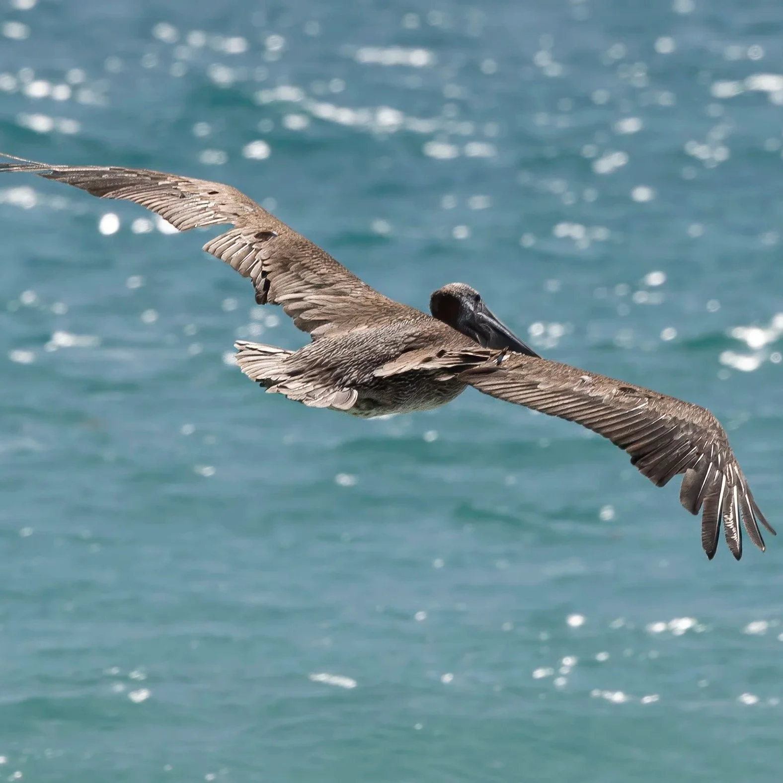 June 20th Father's Day Sunset Cruise