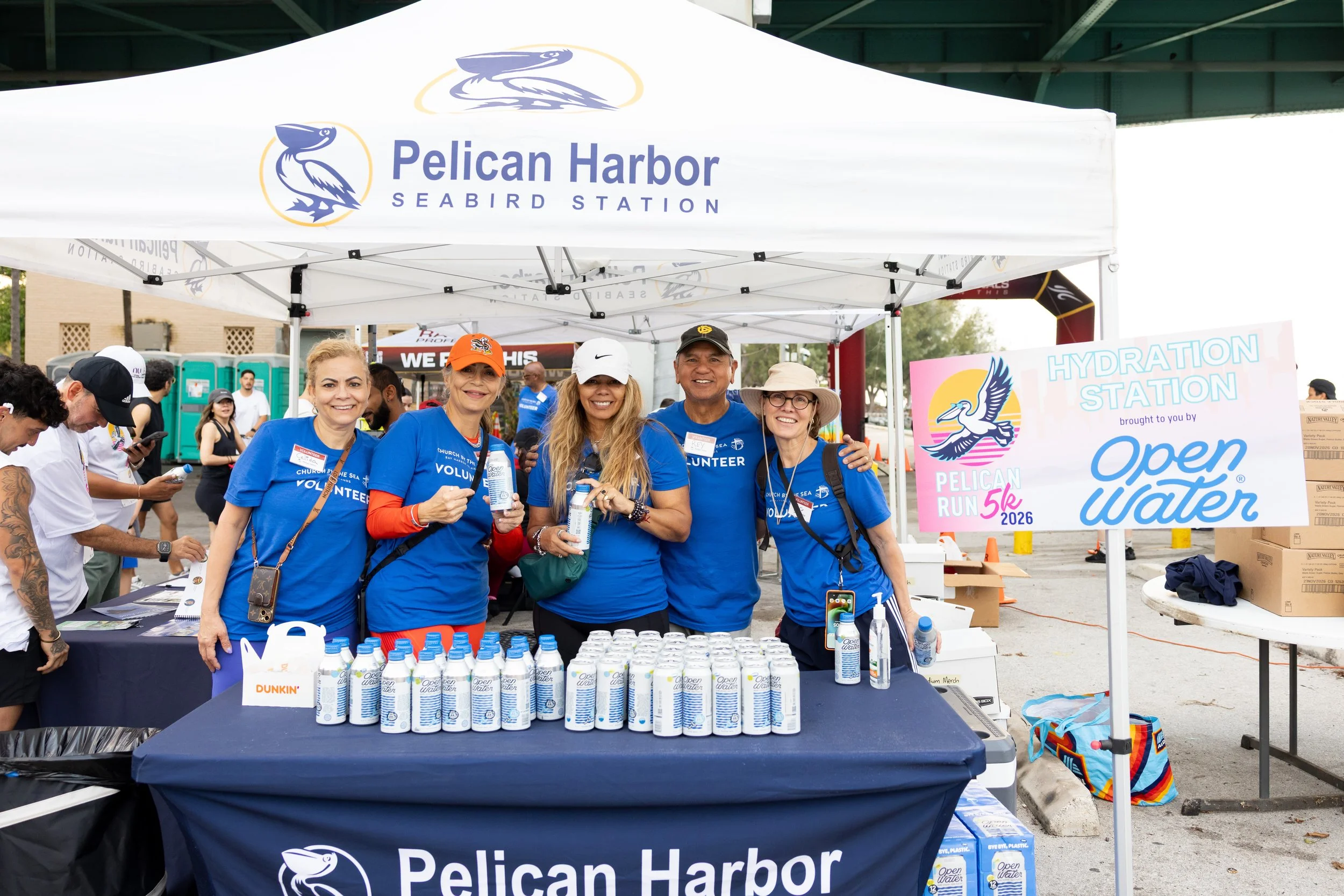pelican_run-45.jpg