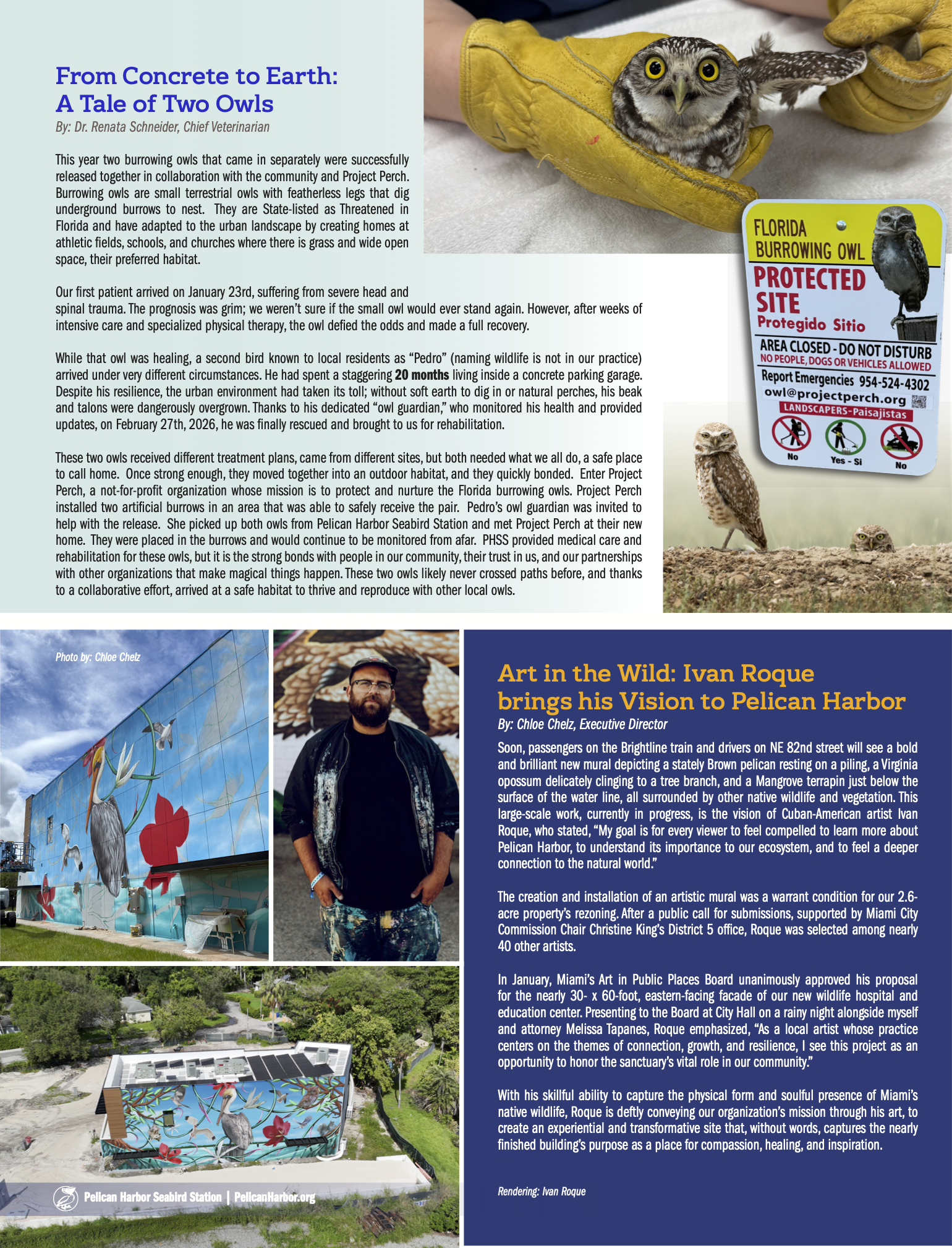 PHSS_Pelican Talk_Q2_2026_D3_2.png