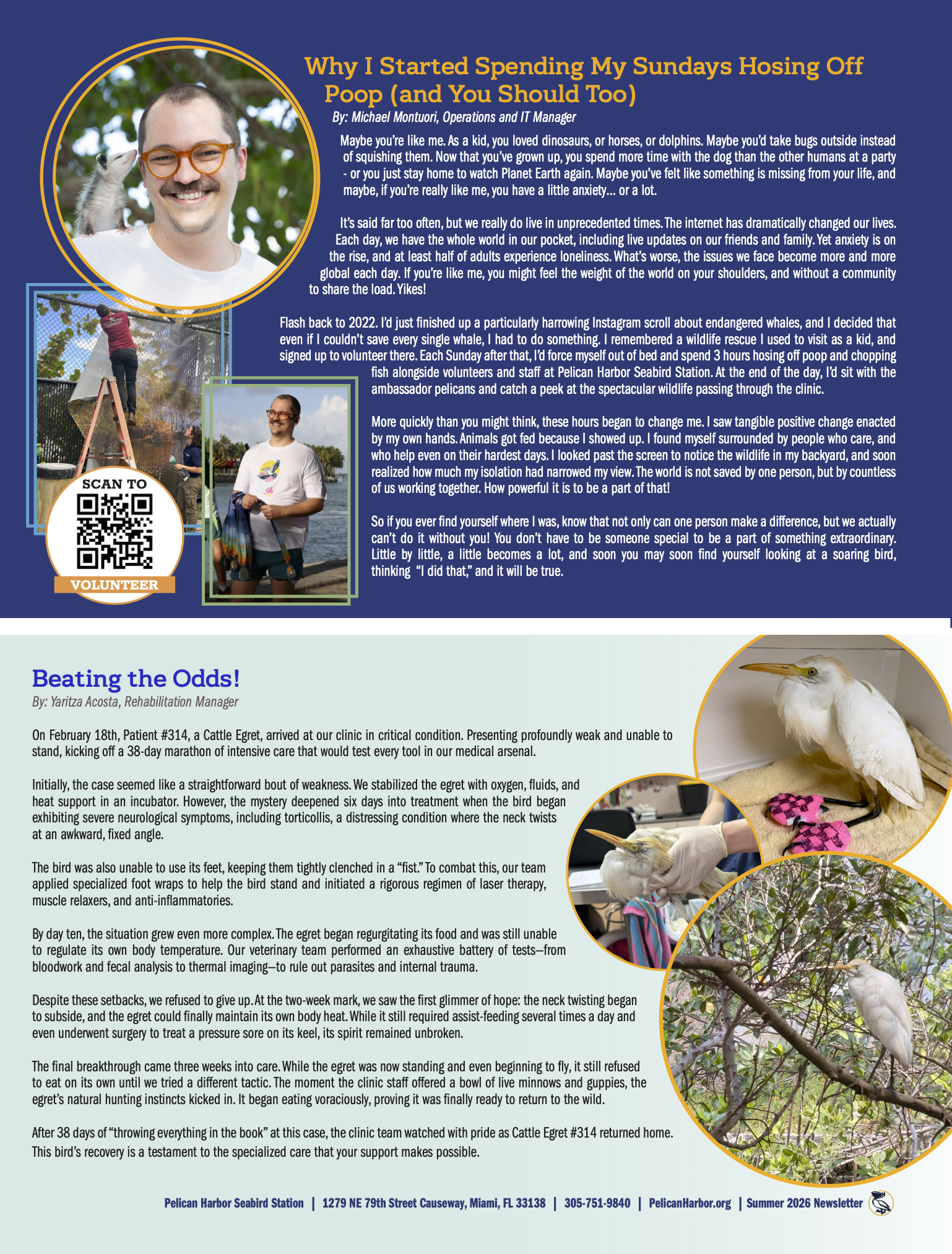 PHSS_Pelican Talk_Q2_2026_D3_2 copy.png