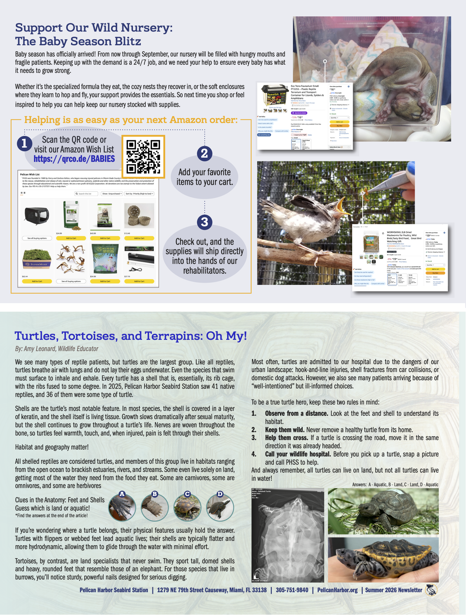 PHSS_Pelican Talk_Q2_2026_D3 copy.png