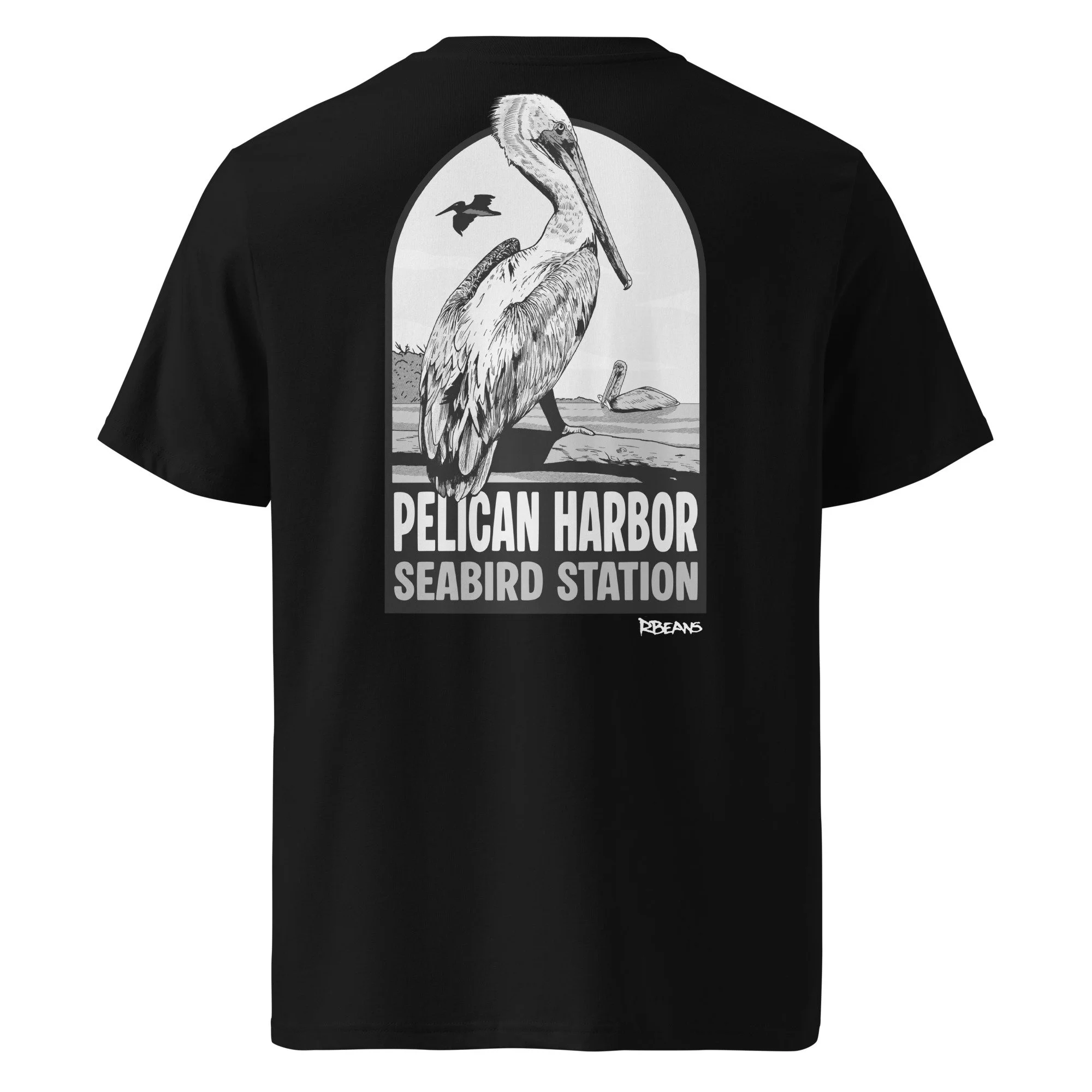 unisex-organic-ribbed-neck-creator-2.0-t-shirt-black-back-6a2b169dbdab5.jpg