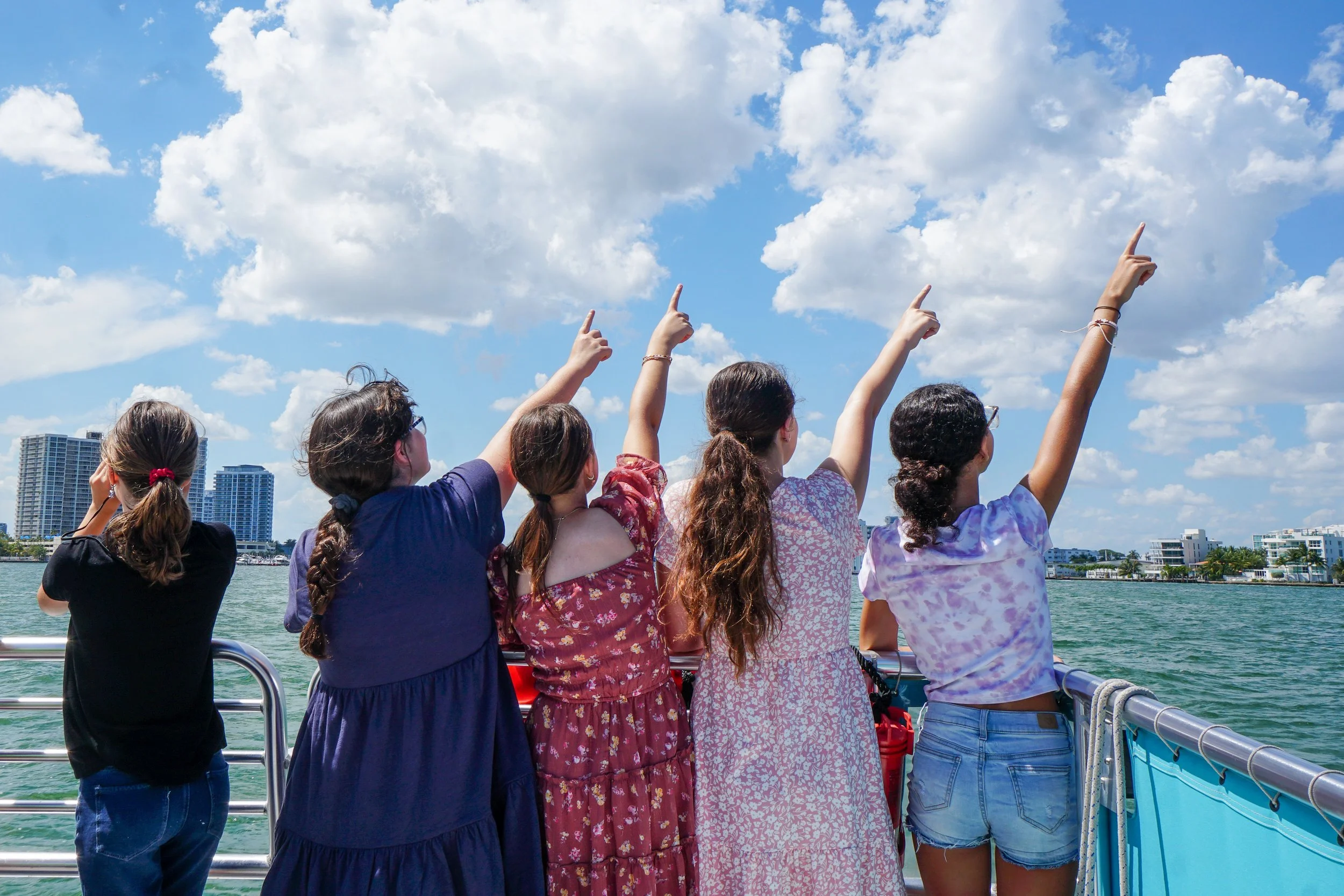 Cruise Guests Spy a Bird in the distance_SSH.jpg